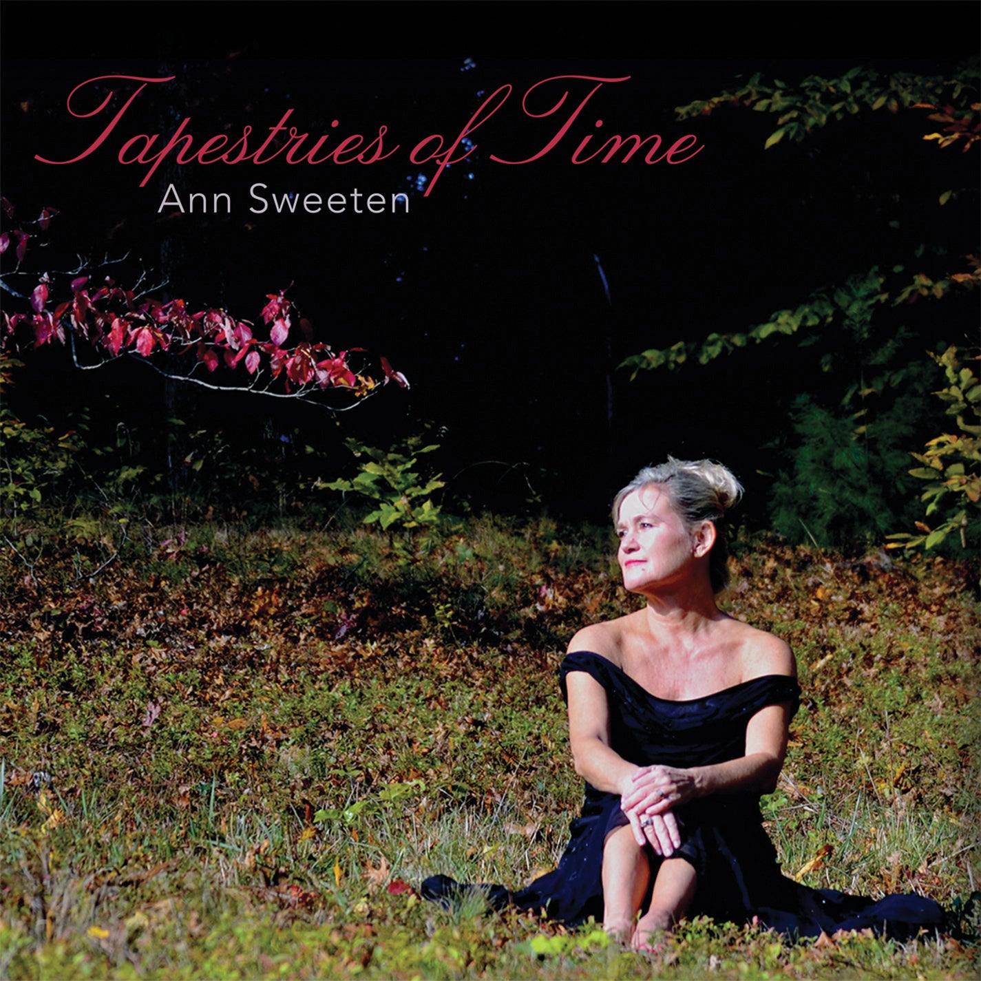Ann Sweeten - Tapestries Of Time (CD)