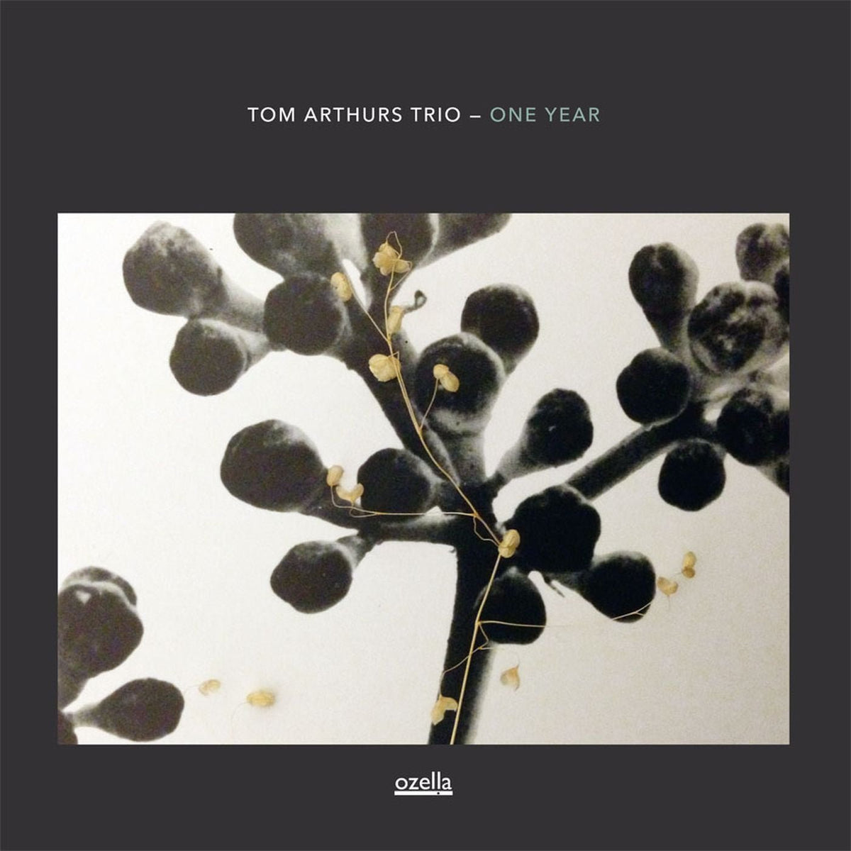 Tom Arthurs Trio - One Year (CD)