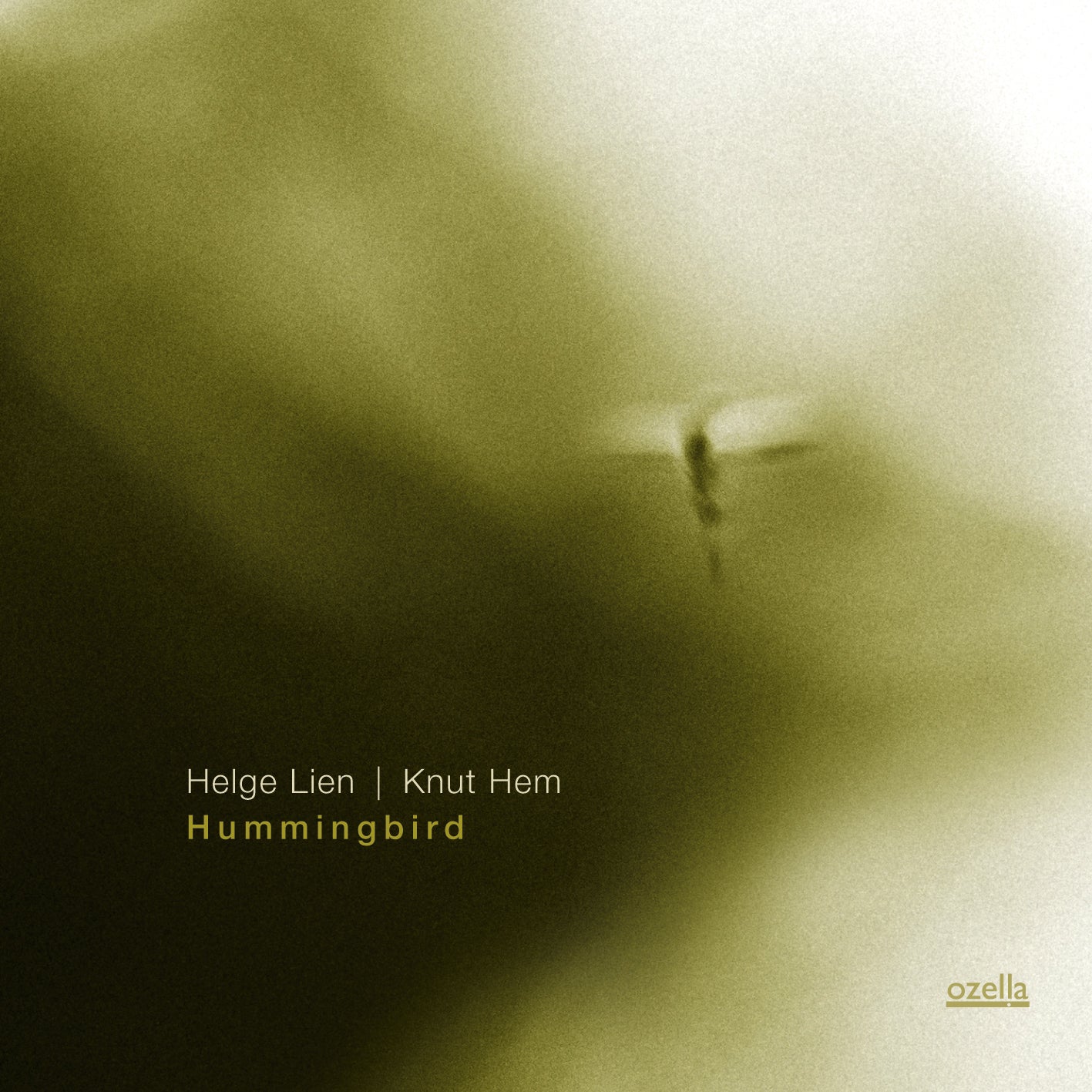 Helge Lien | Knut Hem - Hummingbird (CD)