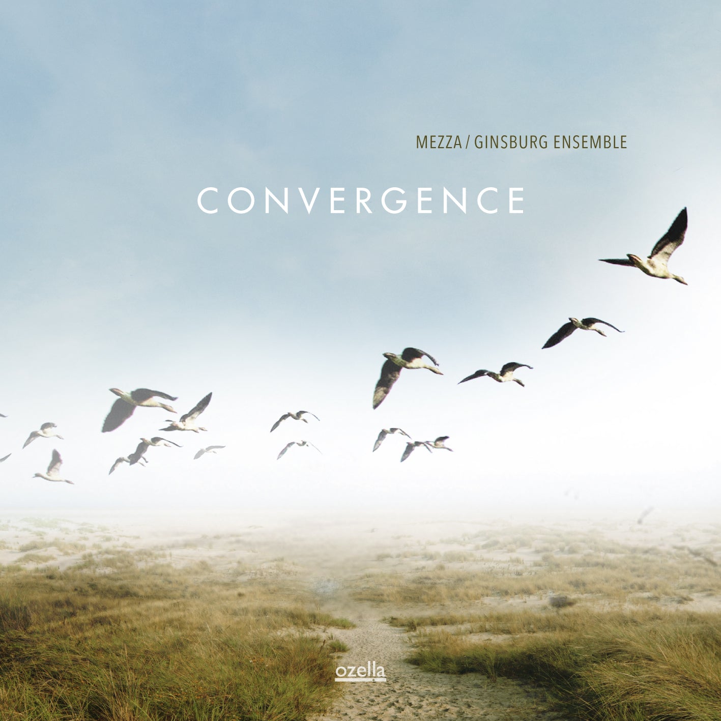 Mezza Ginsburg Ensemble - Convergence (CD)