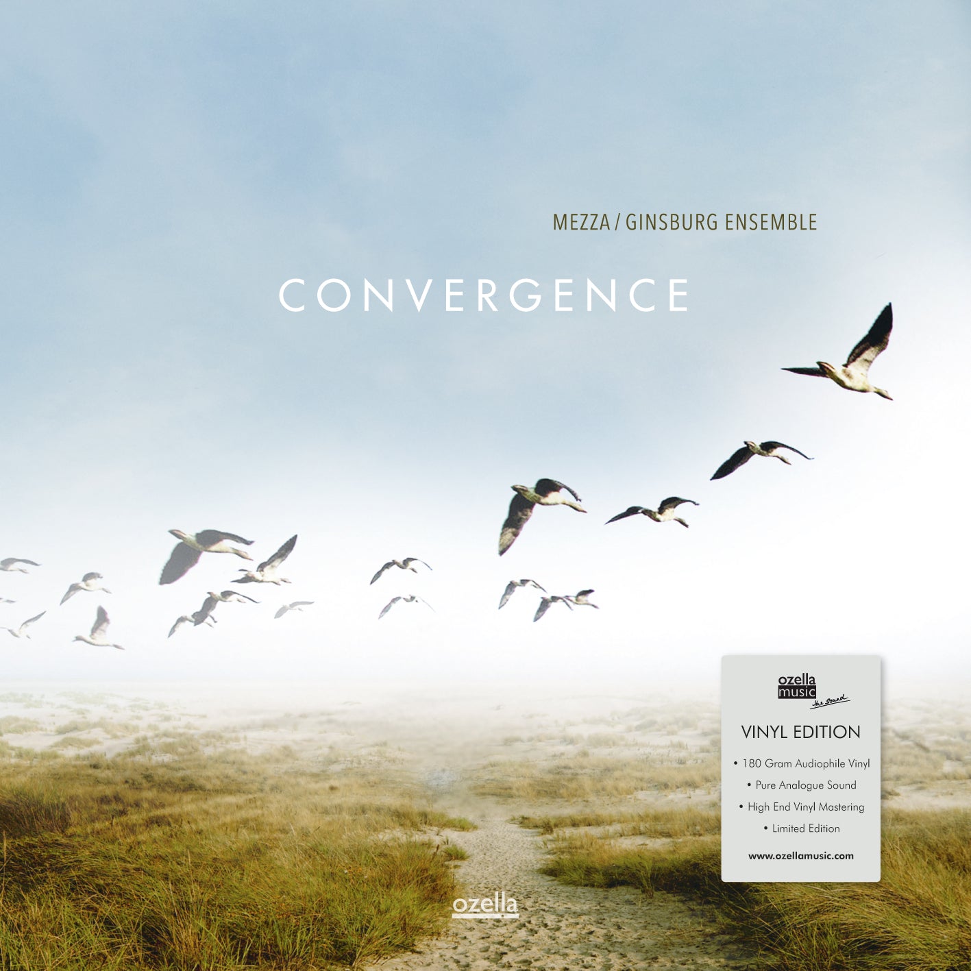Mezza Ginsburg Ensemble - Convergence (LP)