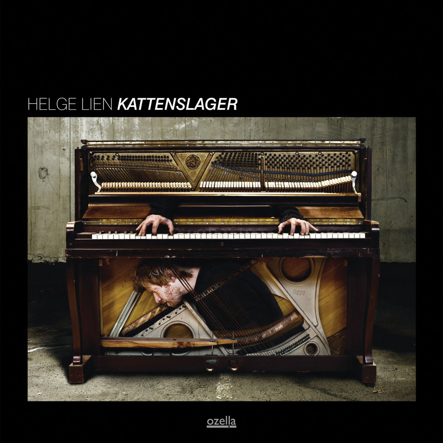 Helge Lien - Kattenslager (LP)