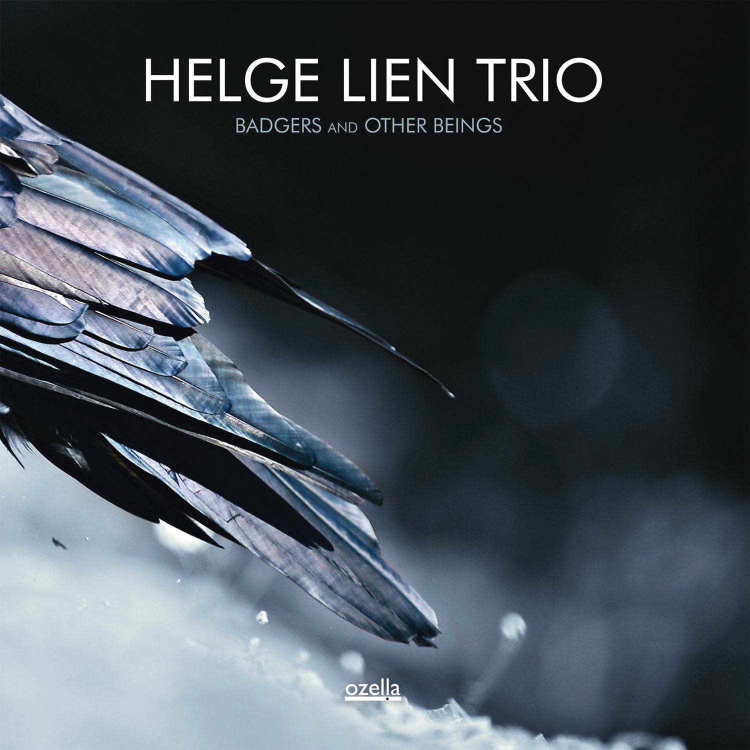 Helge Lien Trio - Badgers and Other Beings (CD)