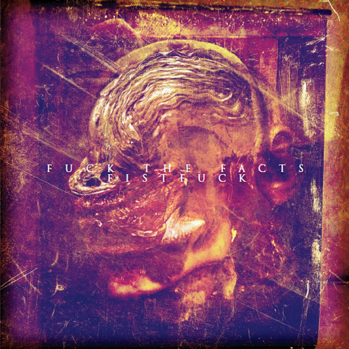 Fuck The Facts/Fistfuck - Split CD (CD)