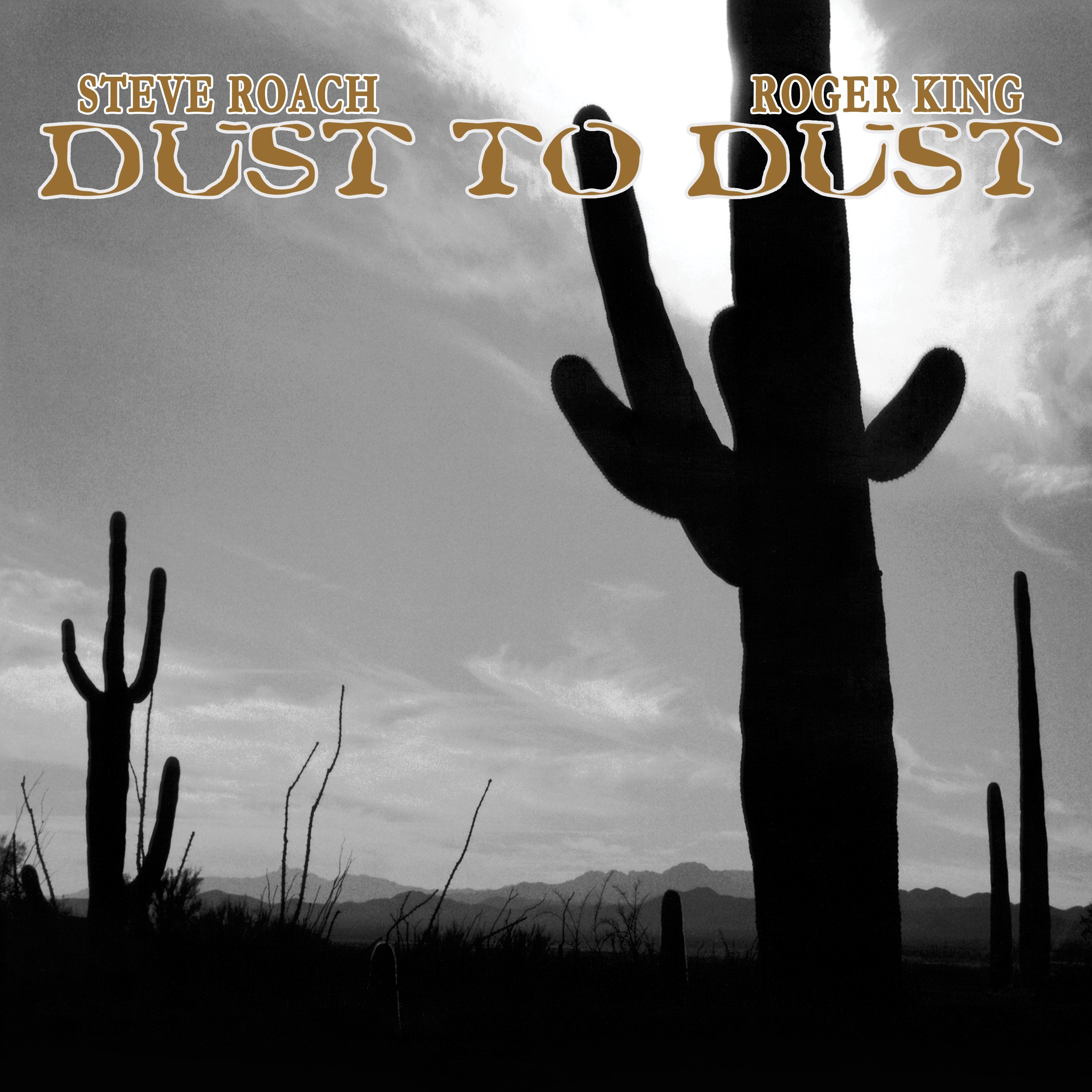 Steve Roach & Roger King - Dust To Dust (LP)