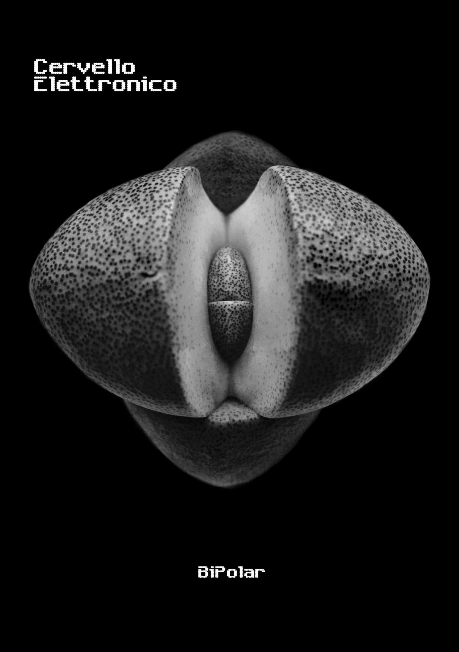 Cervello Elettronico - Bipolar (CD)