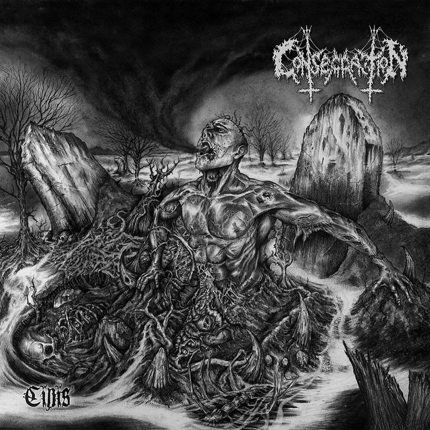 Consecration - Cinis (Grey Vinyl) (LP)