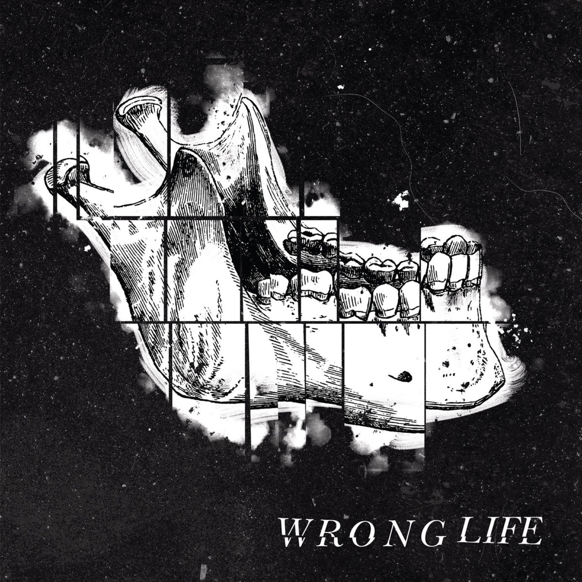 Wrong Life - Wrong Life (LP)