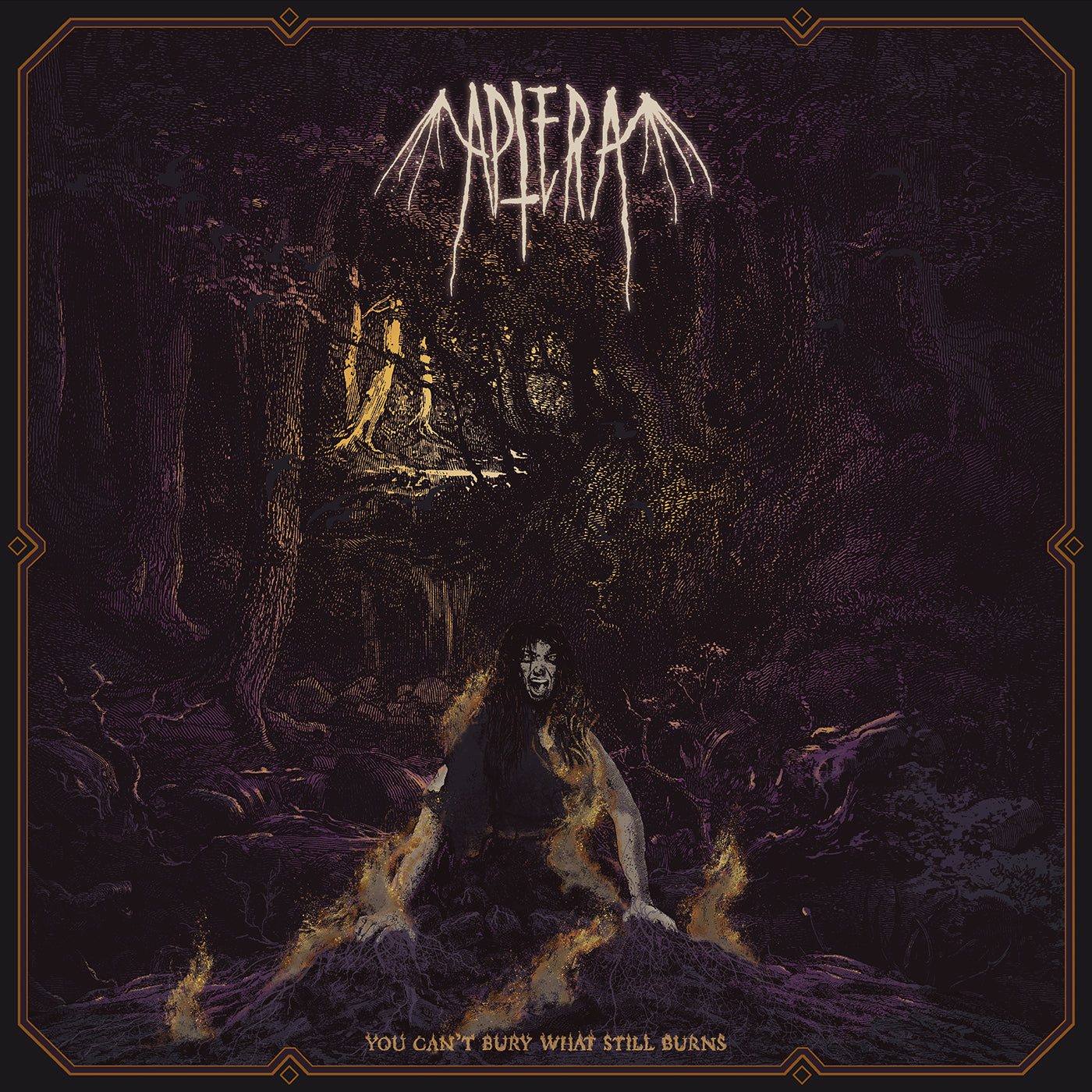 Aptera - You Can't Bury What Still Burns (CD)