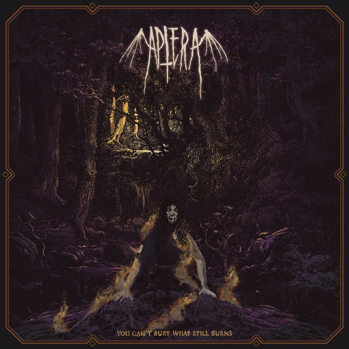 Aptera - You Can't Bury What Still Burns (CD)