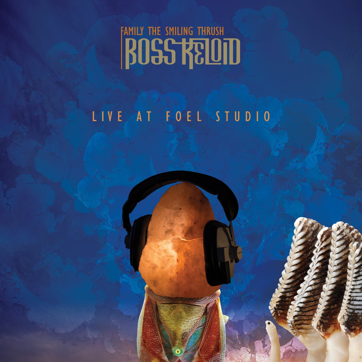 Boss Keloid - Family The Smiling Thrush: Live At Foel Studio LP/DVD (LP)