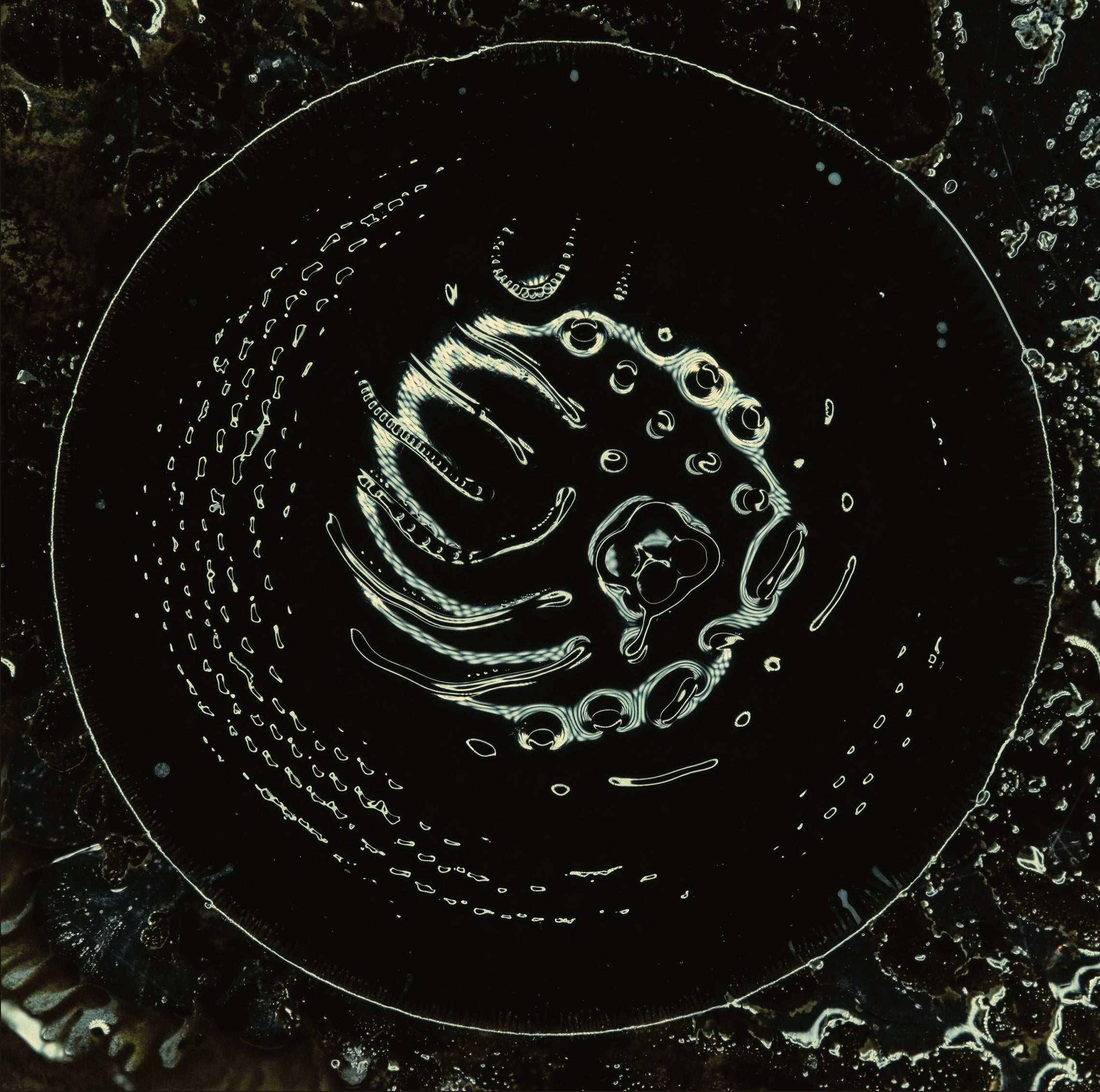 Stonus - Stonus (Black Vinyl) (LP)