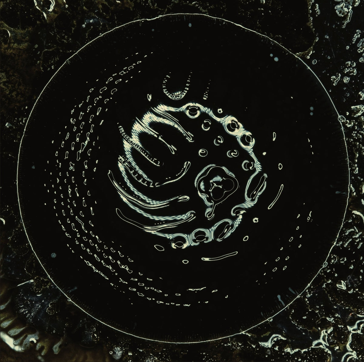 Stonus - Stonus (Black Vinyl) (LP)