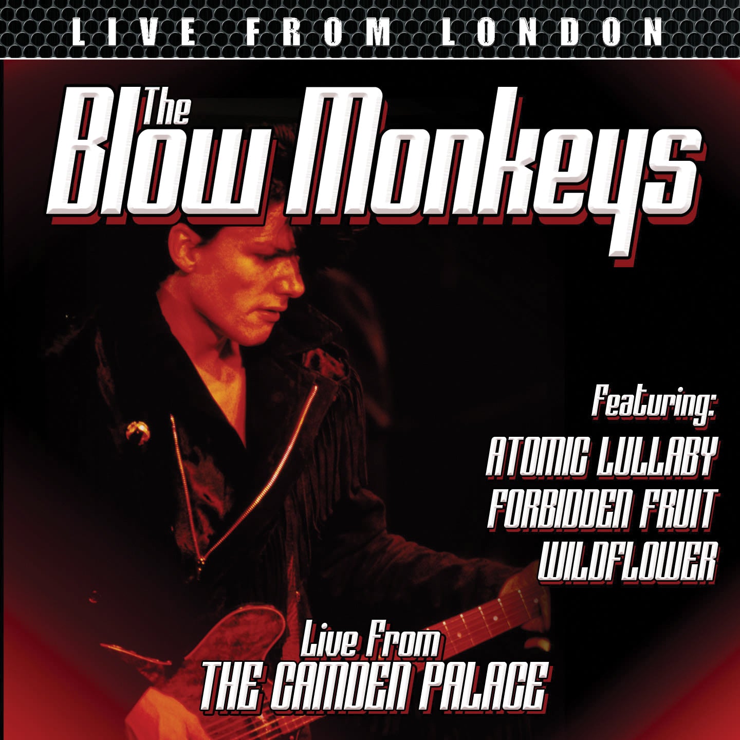 Blow Monkeys - Live From London (CD)