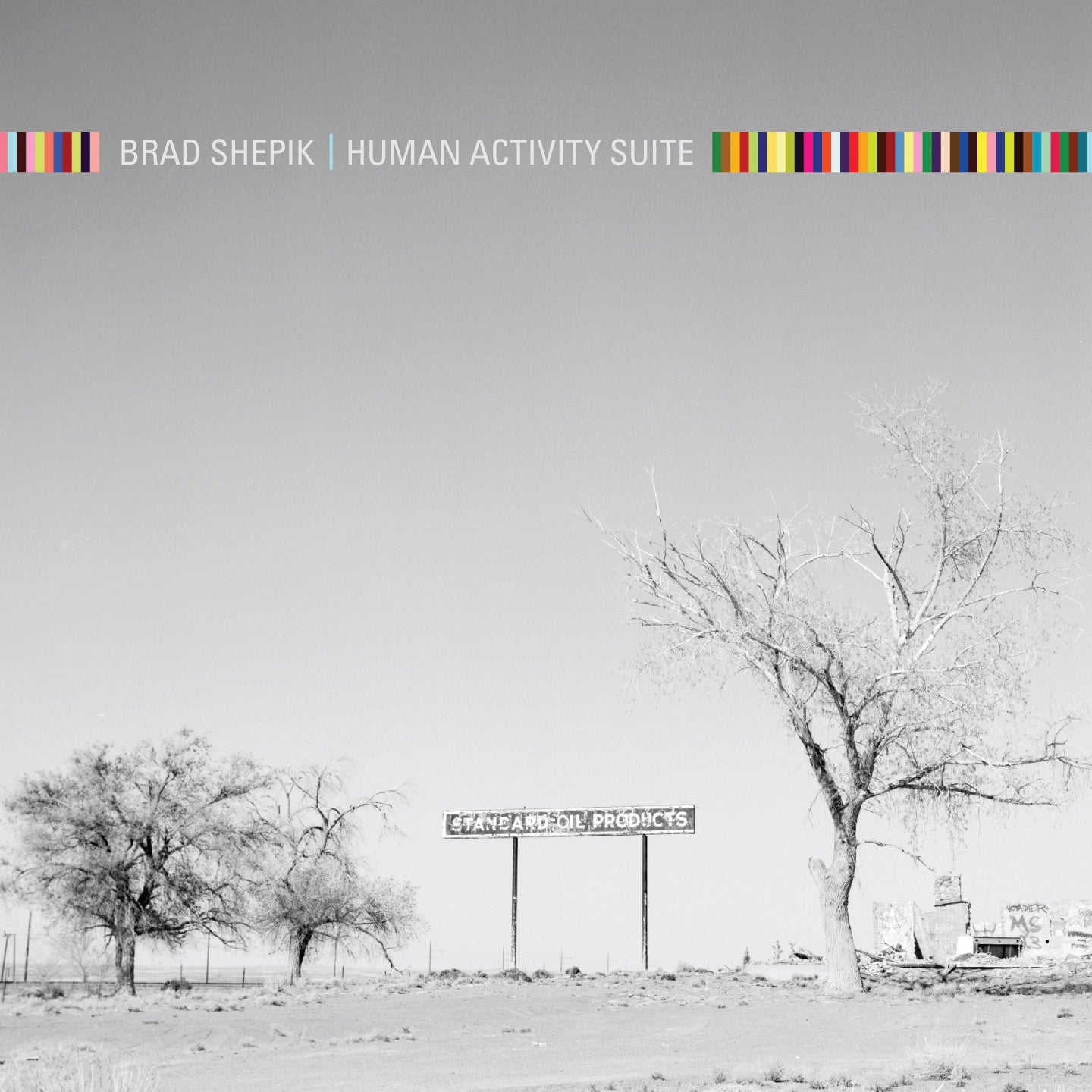 Brad Shepik - Human Activity Suite (CD)