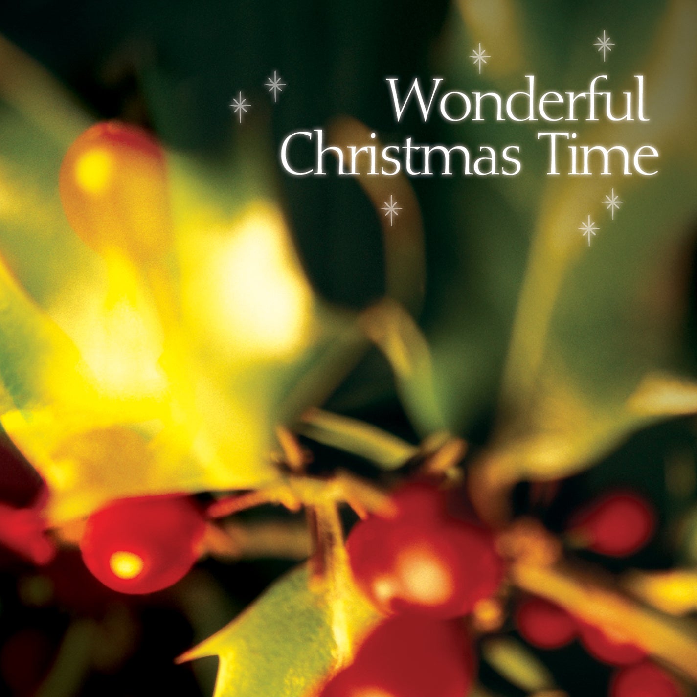 Wonderful Christmas Time (CD)