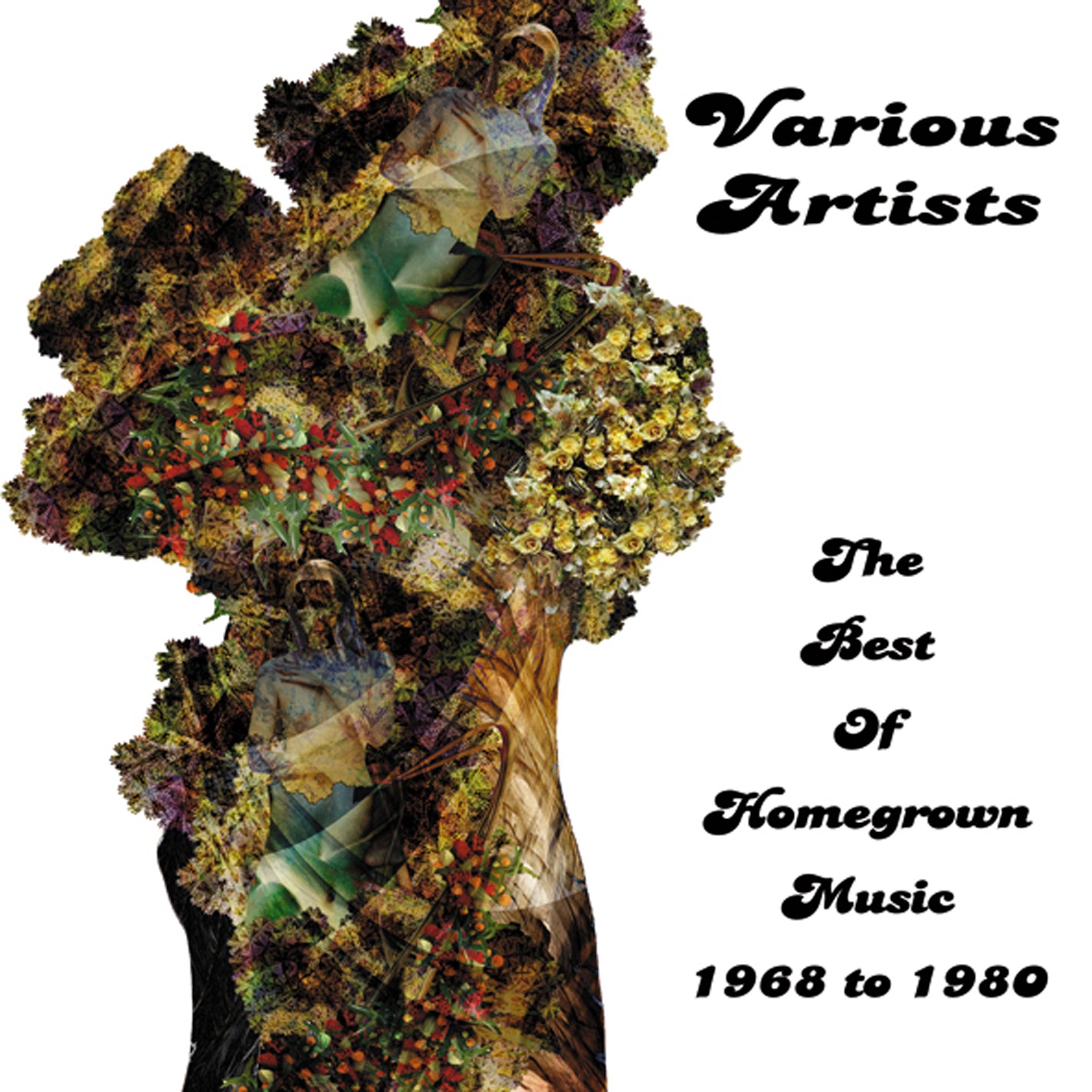 The Best Of Homegrown Music 1968 To 1980 (CD)