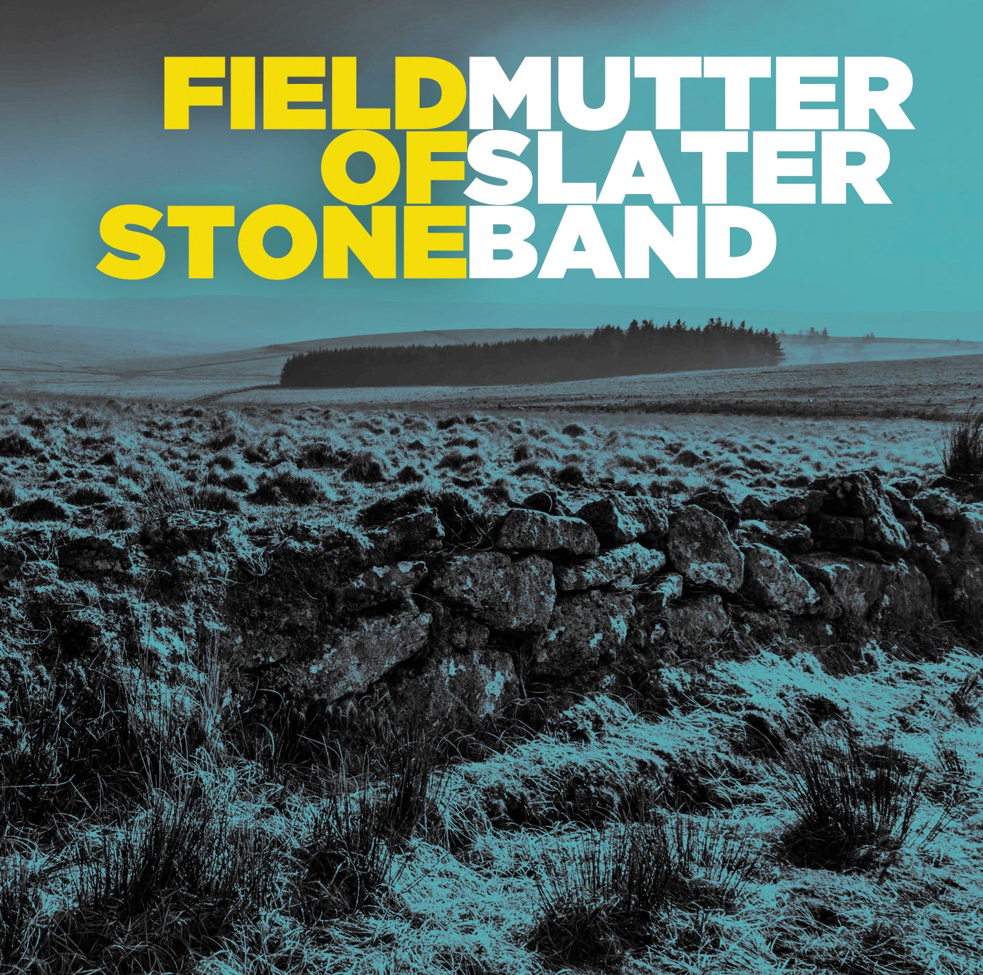 Mutter Slater Band - Field Of Stone (CD)