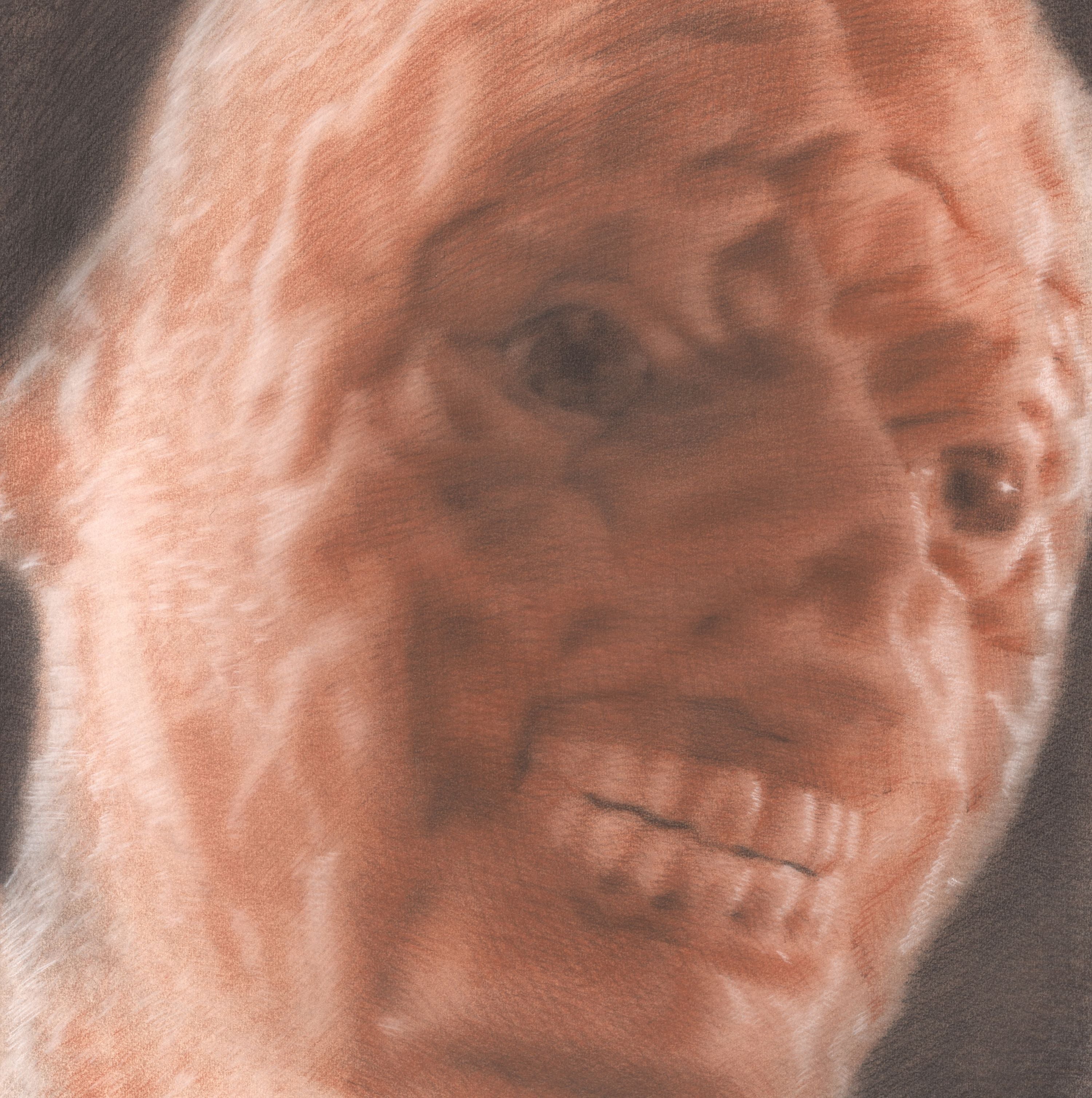 Spesimin - Spesimin (LP)