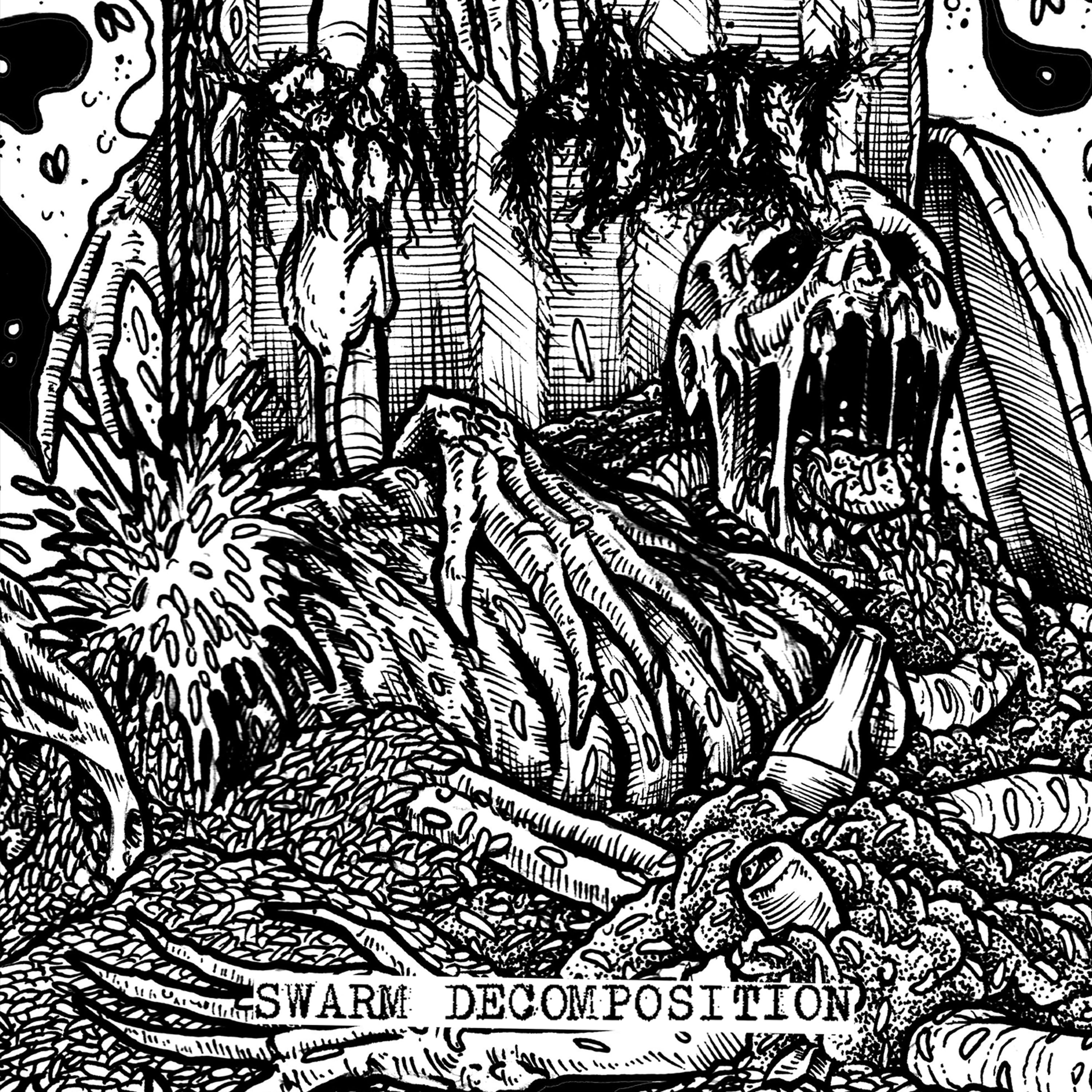 Raw Addict - Swarm Decomposition (CD)