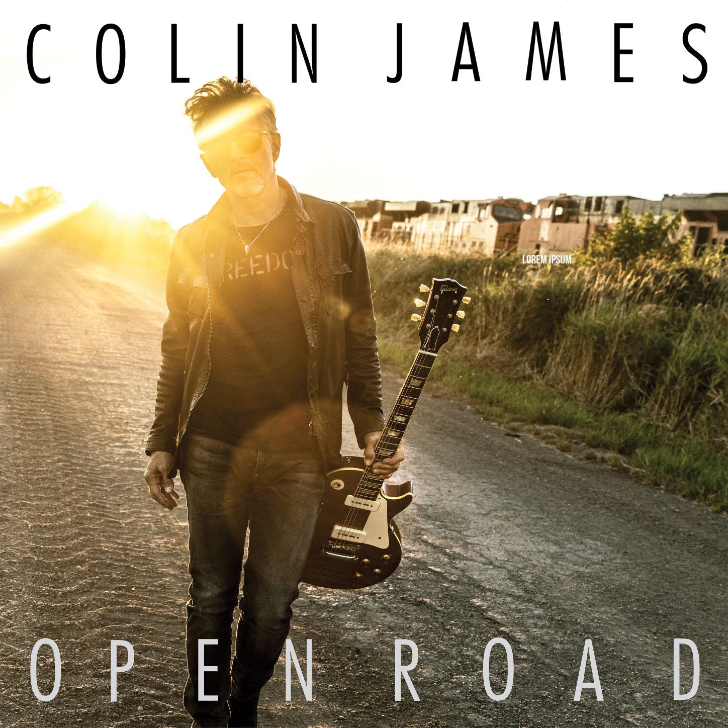 Colin James - Open Road (LP)