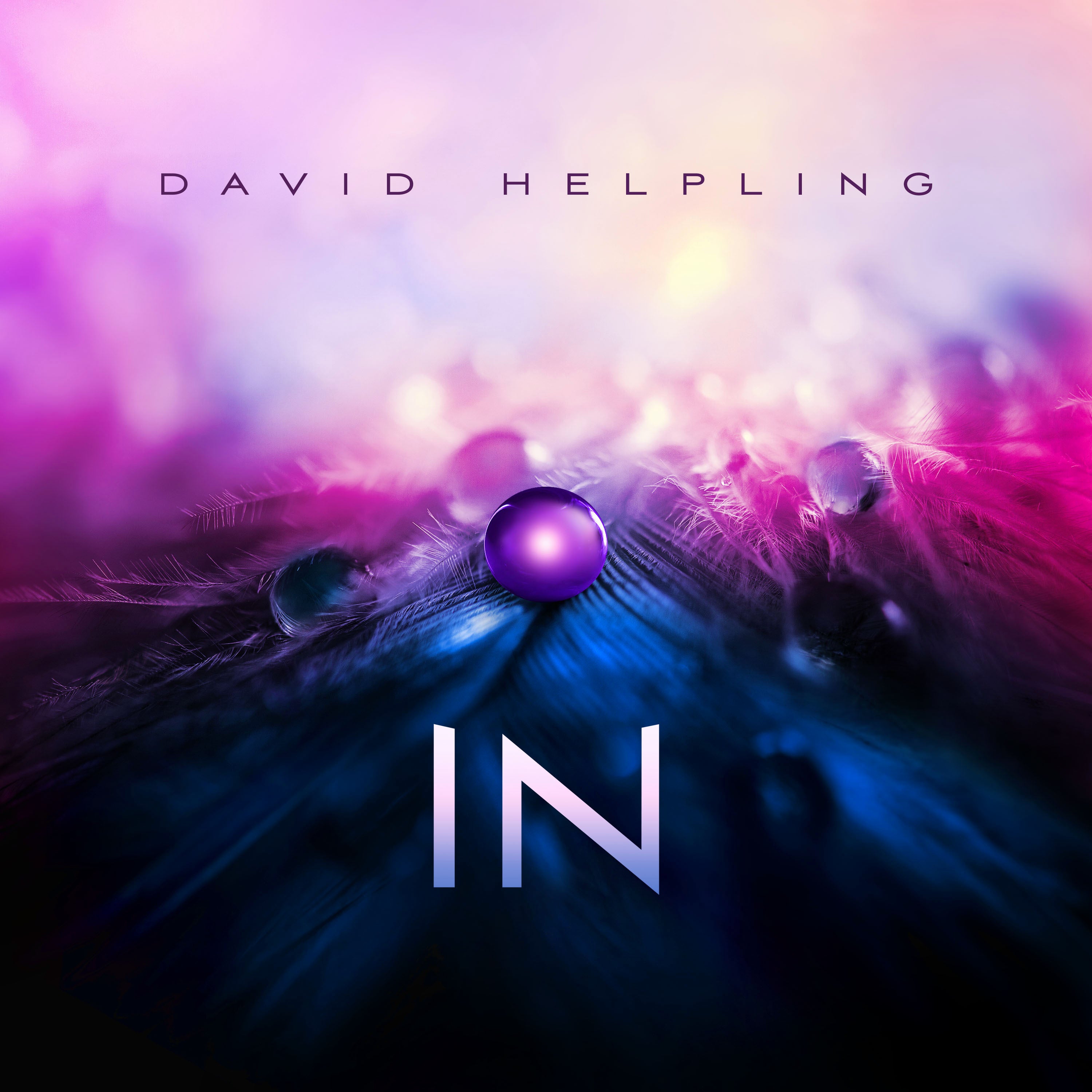 David Helpling - IN (LP)