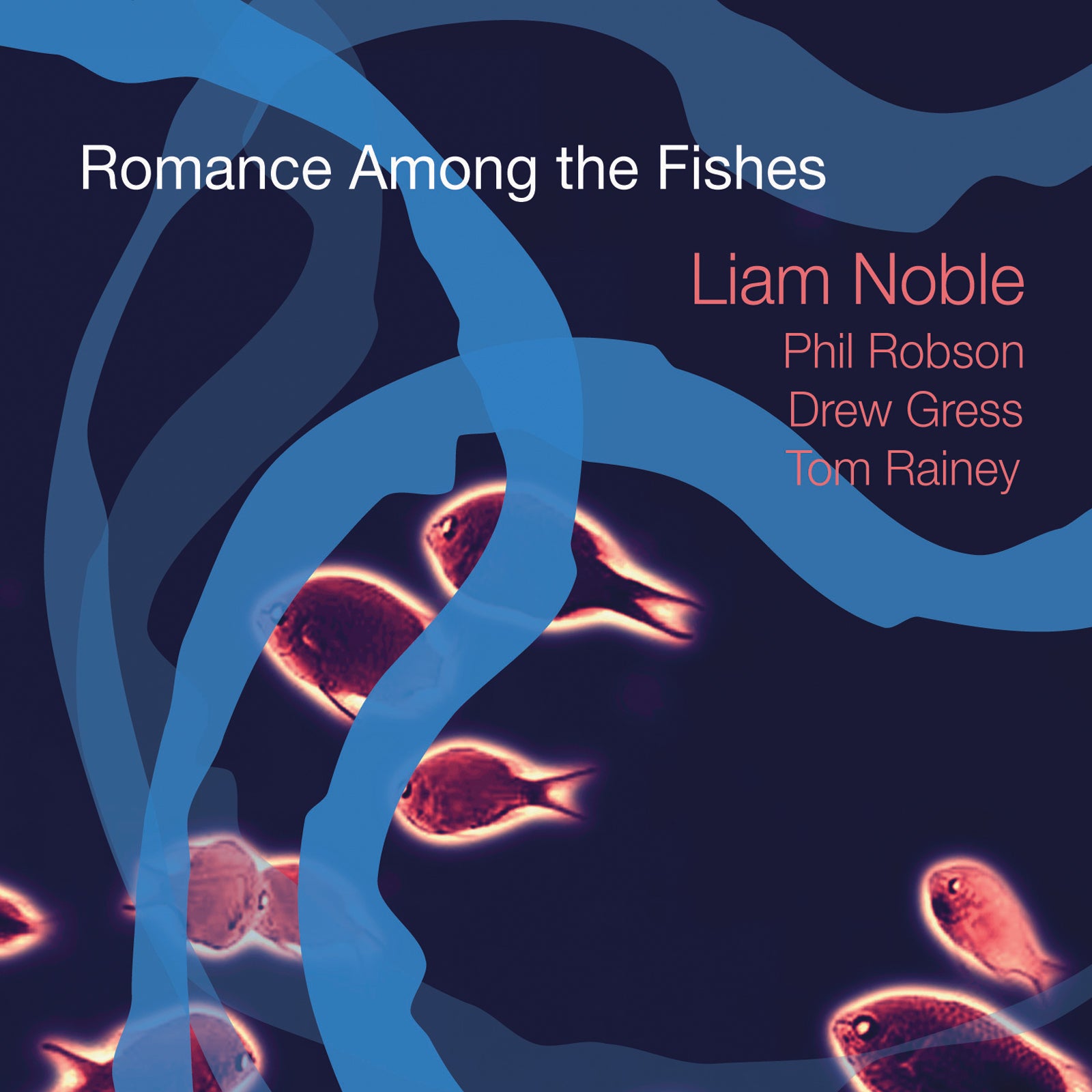 Liam Noble - Romance Among The Fishes (CD)