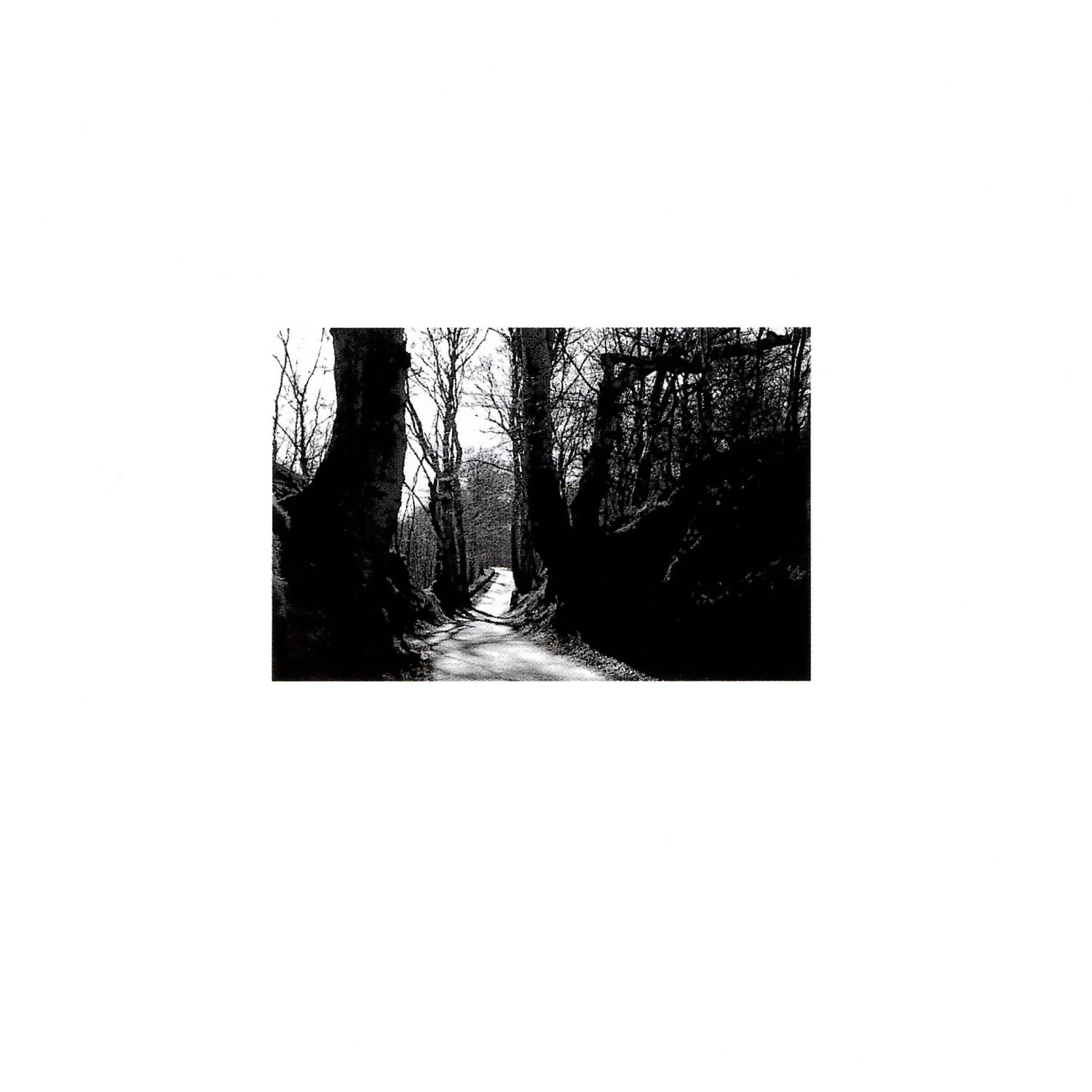 Butch Lacy - Solo But Not Alone (CD)