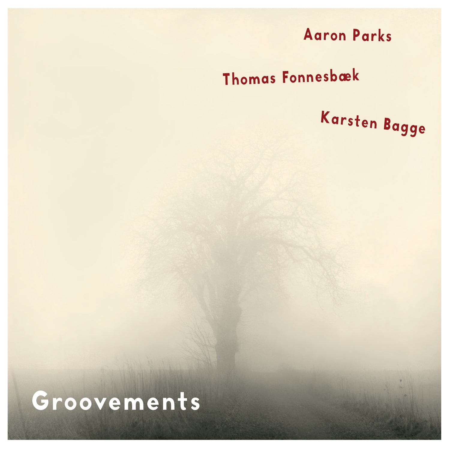 Aaron Parks & Thomas Fonnesbæk & Karsten Bagge - Groovements (CD)