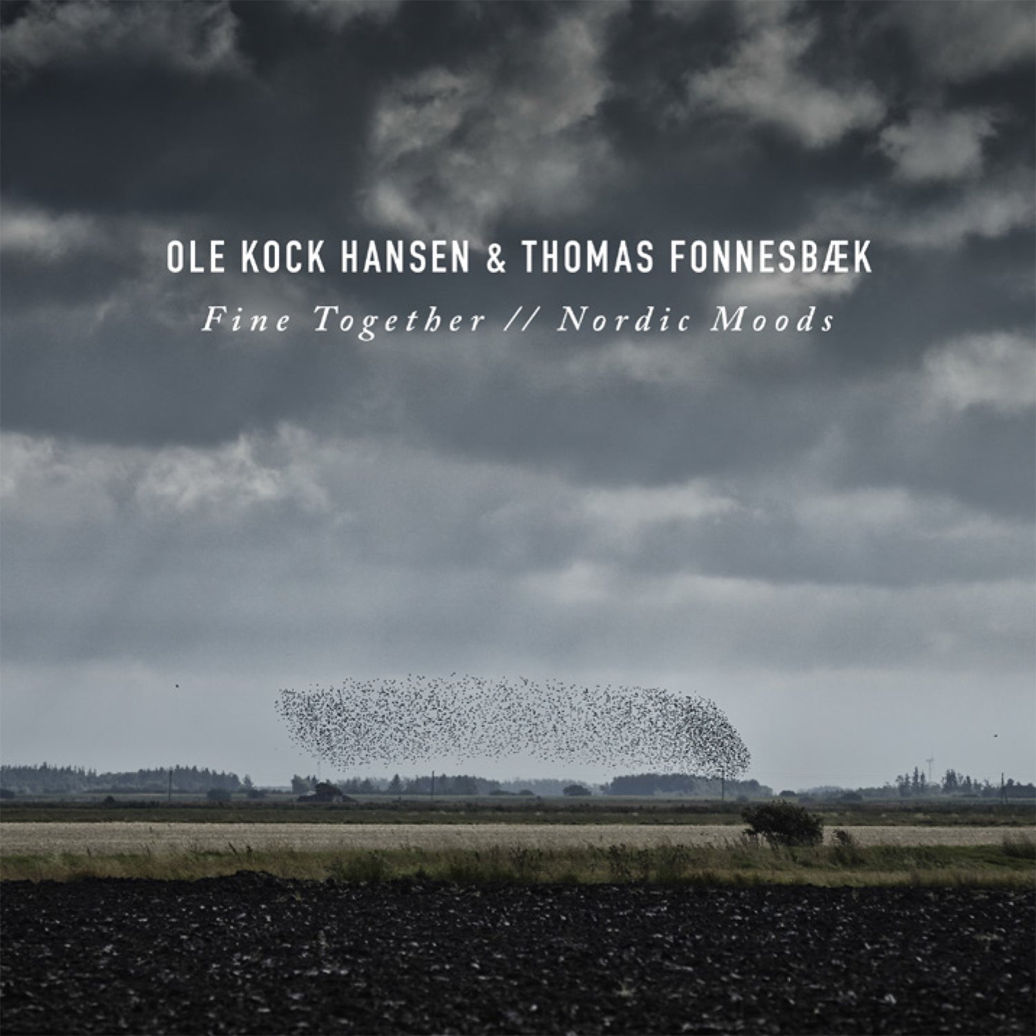 Ole Kock Hansen & Thomas Fonnesbæk - Fine Together / Nordic Moods (CD)