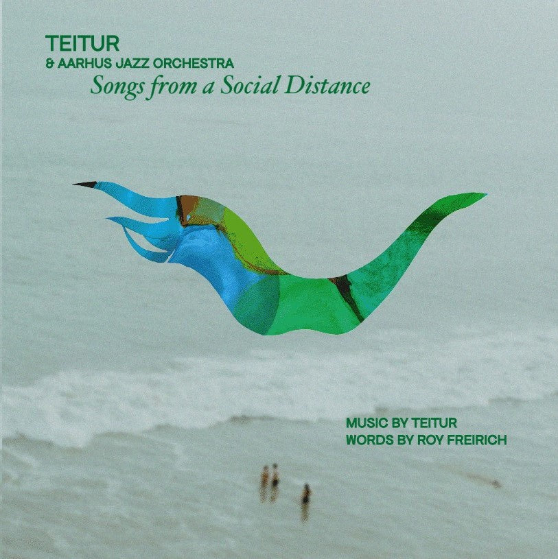 Teitur & Aarhus Jazz Orchestra - Songs From A Social Distance (CD)