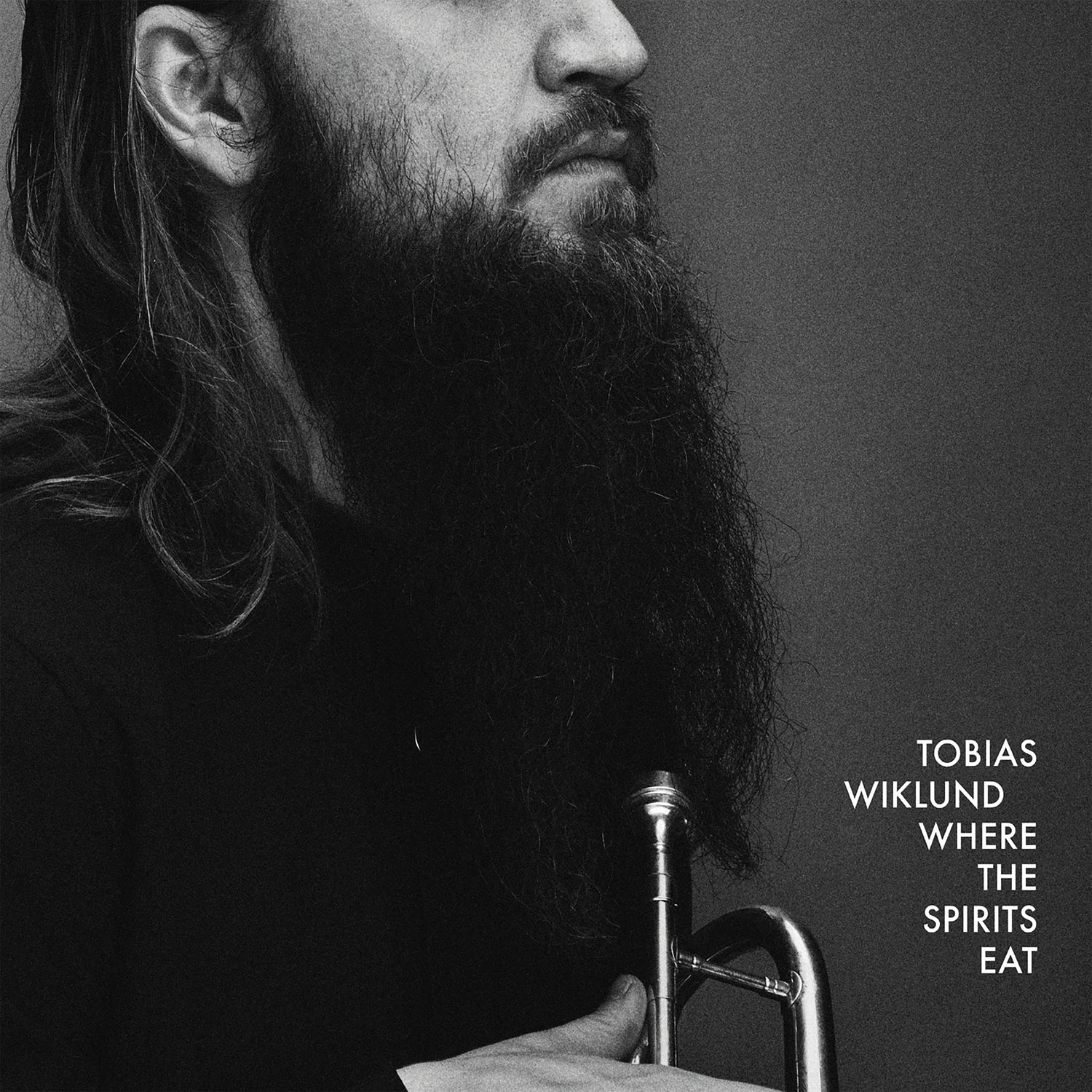 Tobias Wiklund - Where the Spirits Eat (LP)