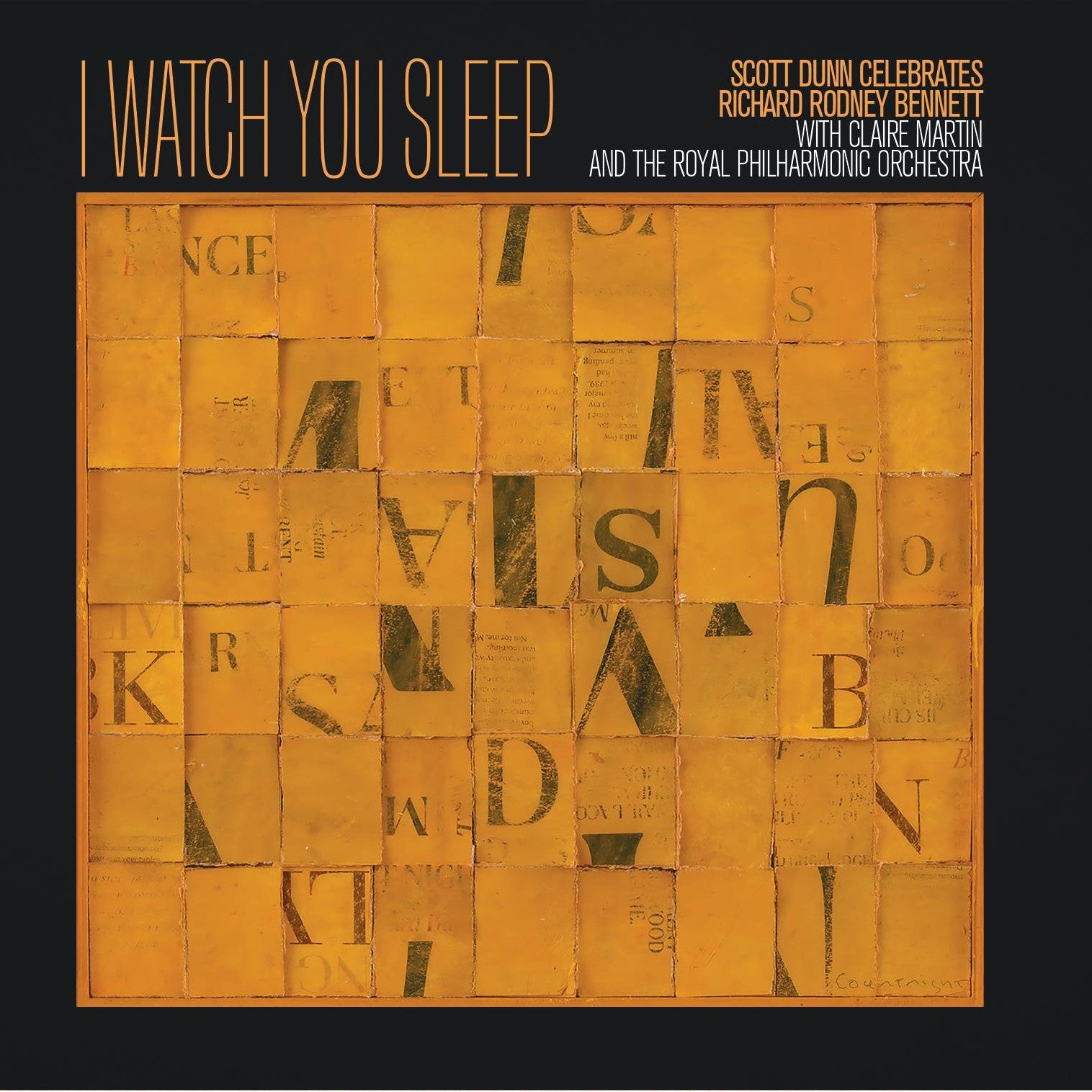 Claire Martin & Royal Philharmonic Orchestra - I Watch You Sleep - Scott Dunn Celebrates Richard Rodney Bennett (LP)