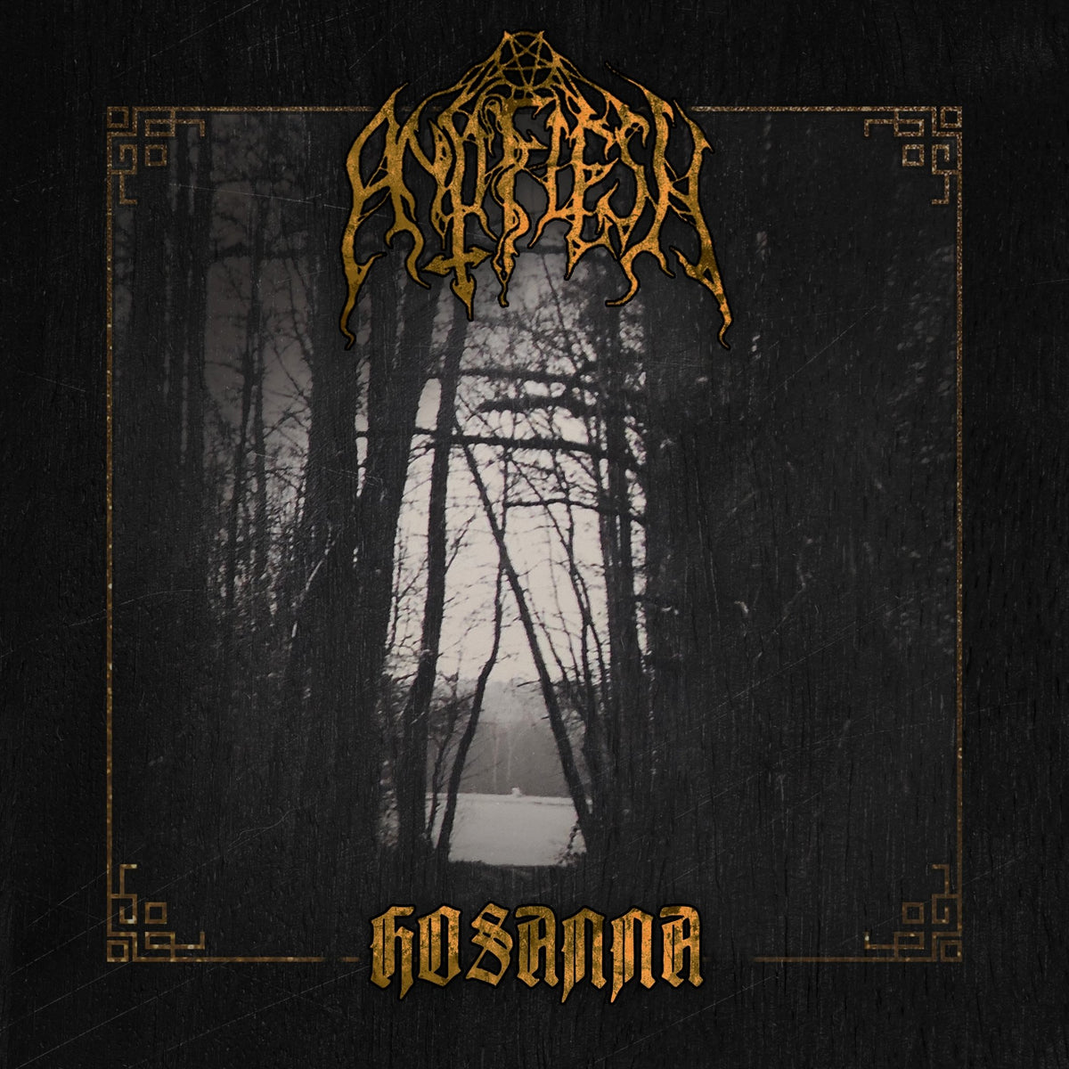 Antiflesh - Hosanna (CD)