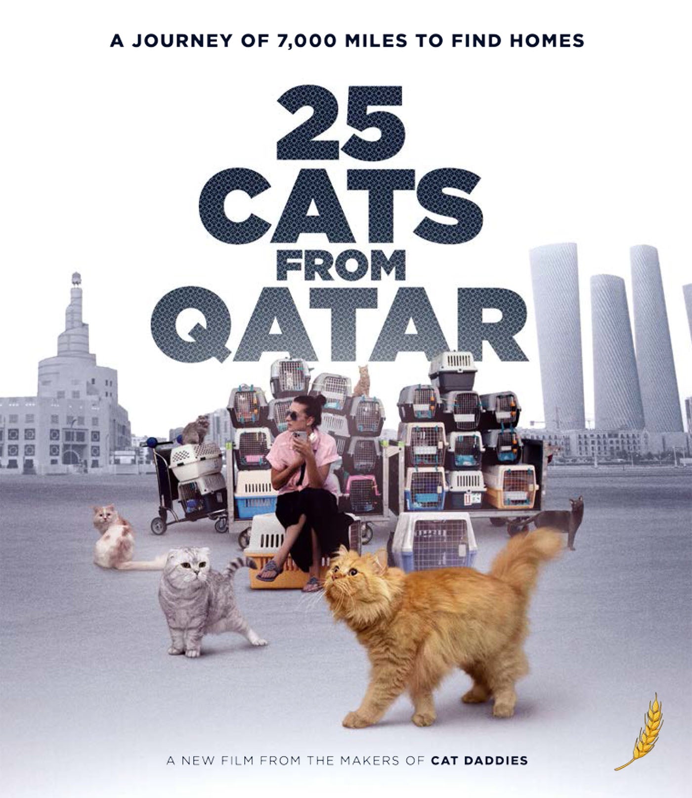 25 Cats From Qatar (Blu-ray)