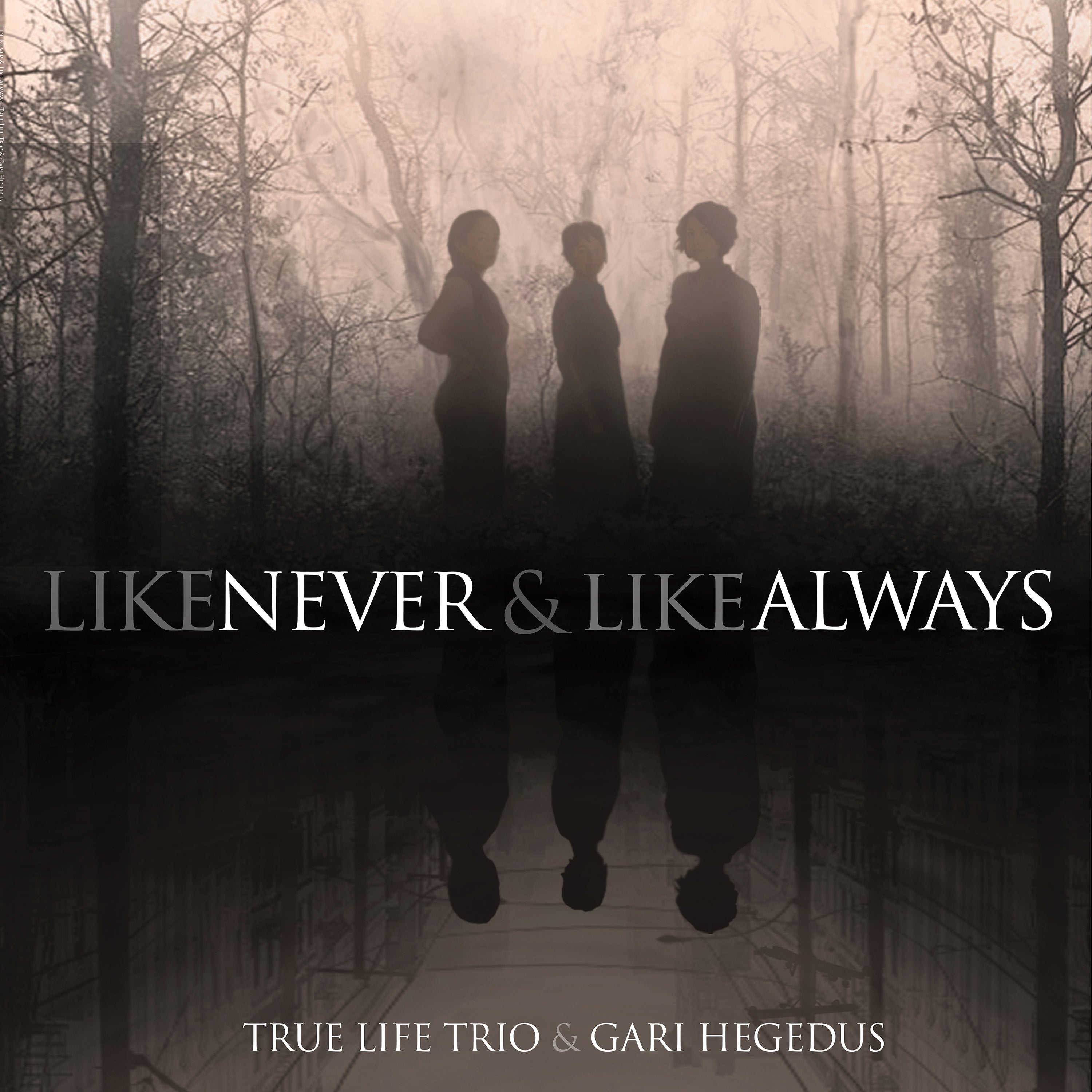 True Life Trio & Gari Hegedus - Like Never & Like Always (CD)