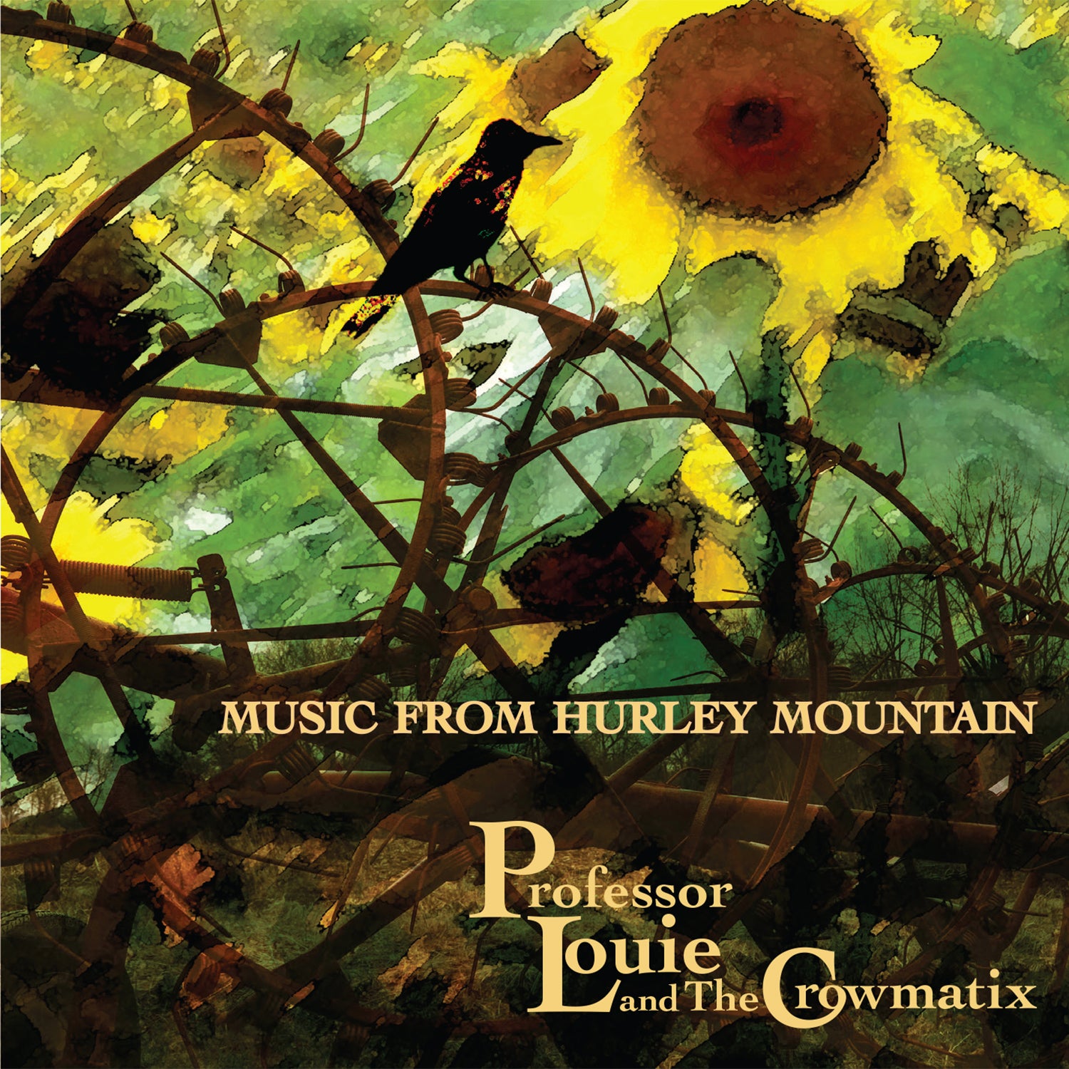 Professor Louie & The Crowmatix - Music From Hurley Mountain (CD)