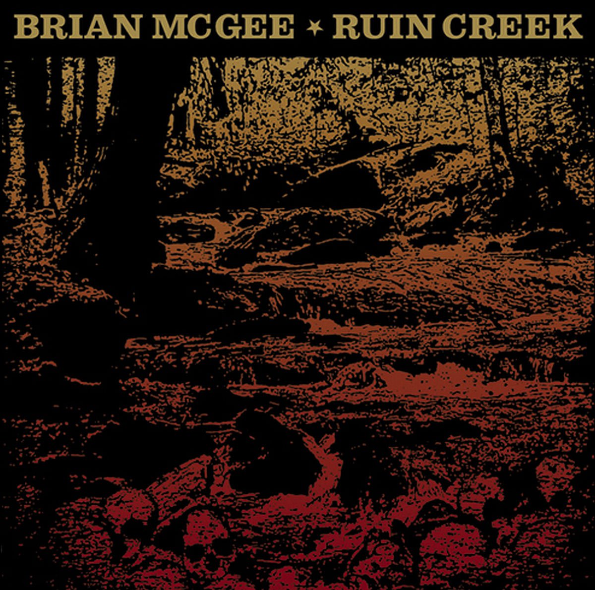 Brian McGee - Ruin Creek (CD)