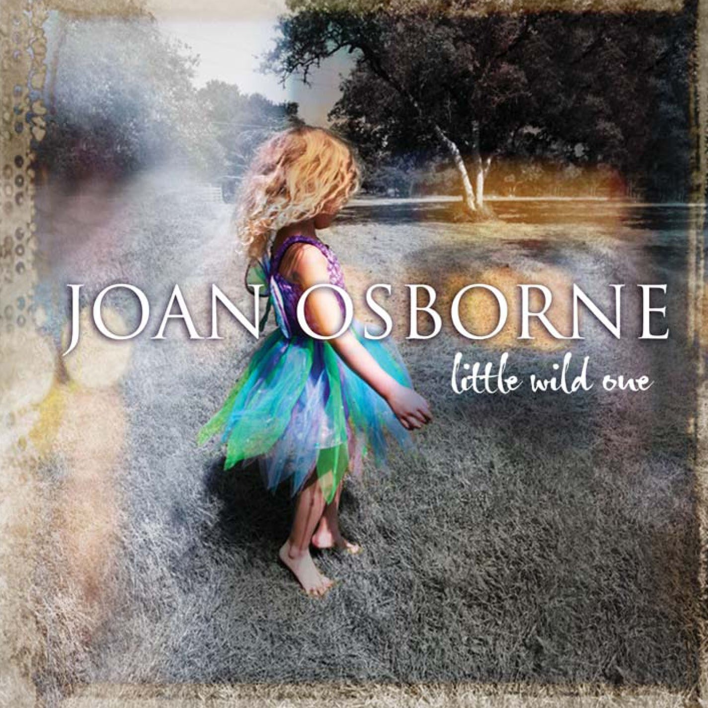 Joan Osborne - Little Wild One (CD)