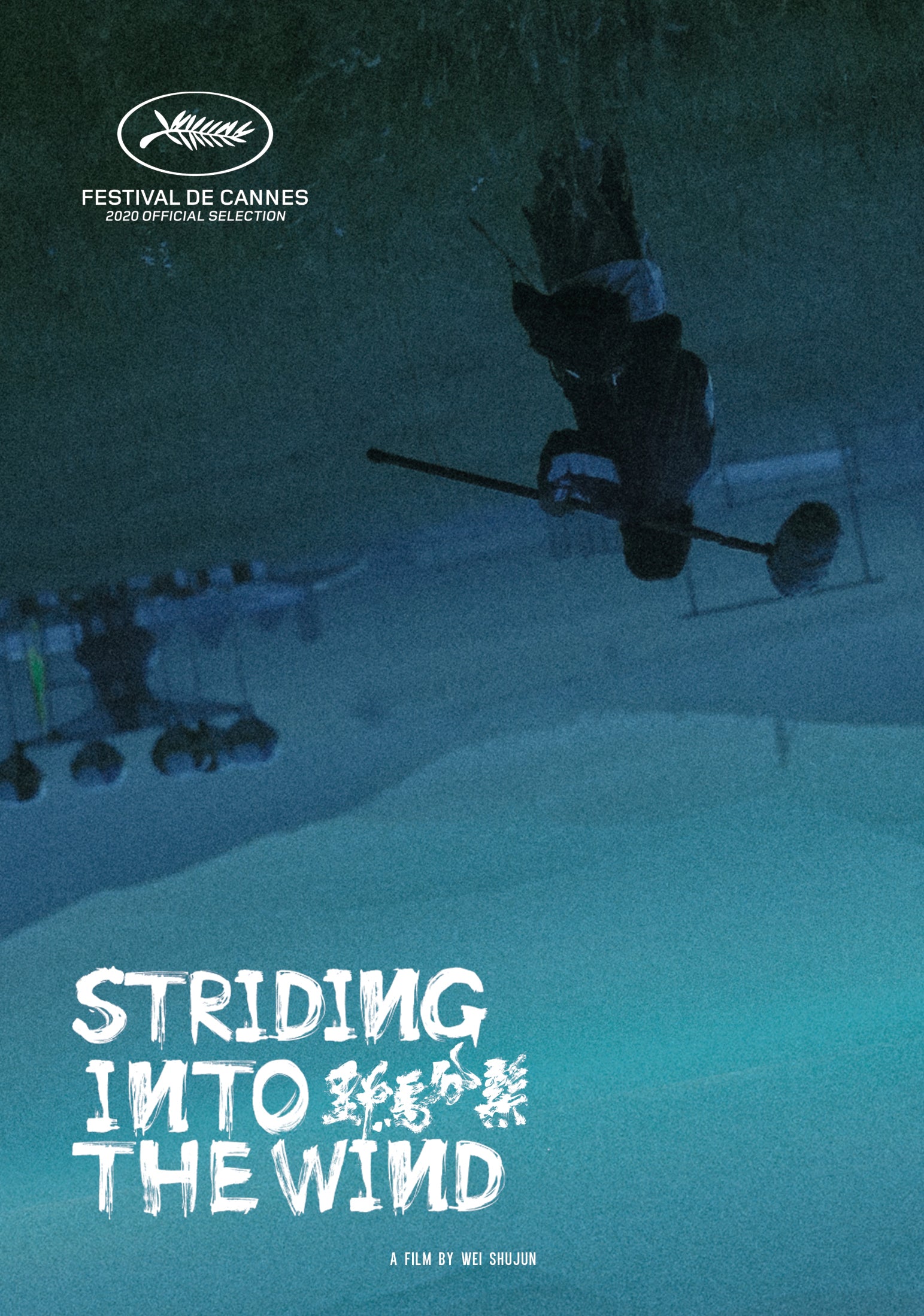 Striding Into The Wind (DVD) 1