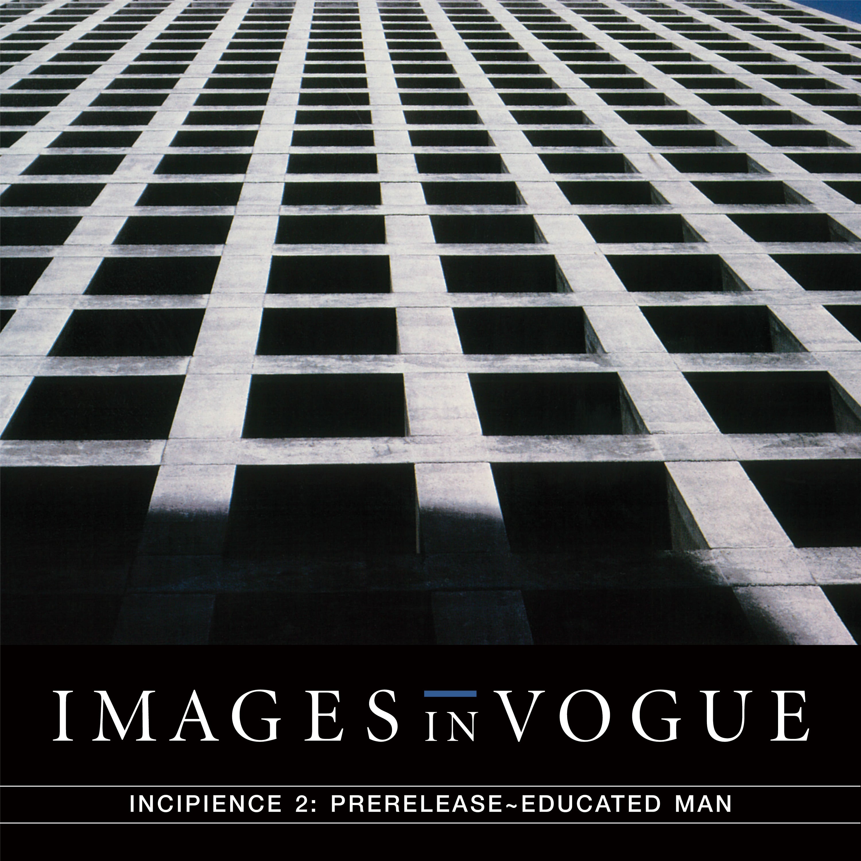 Images In Vogue - Incipience 2: Prerelease Educated Man (LP)
