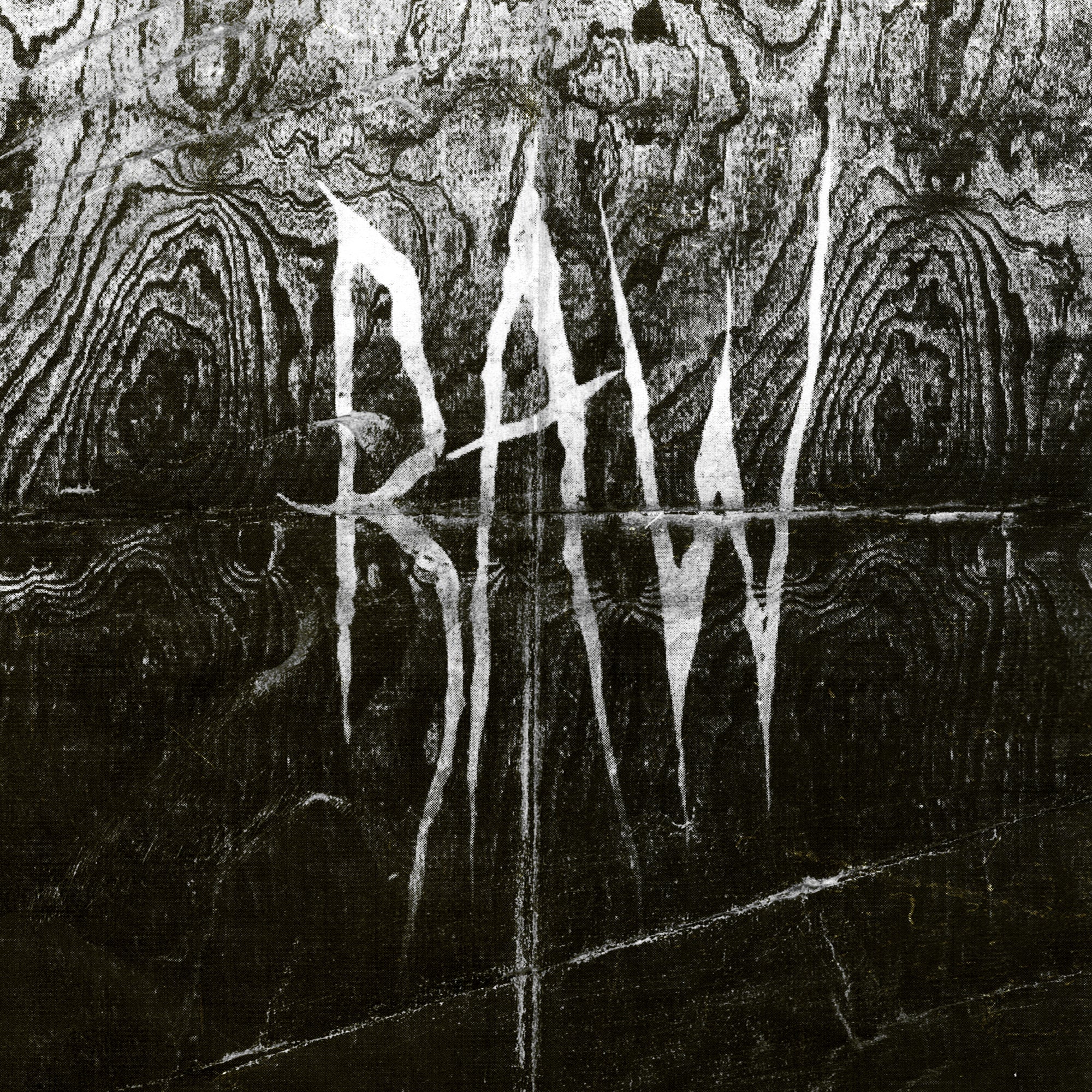 Raw - From The First Glass To The Grave (LP)
