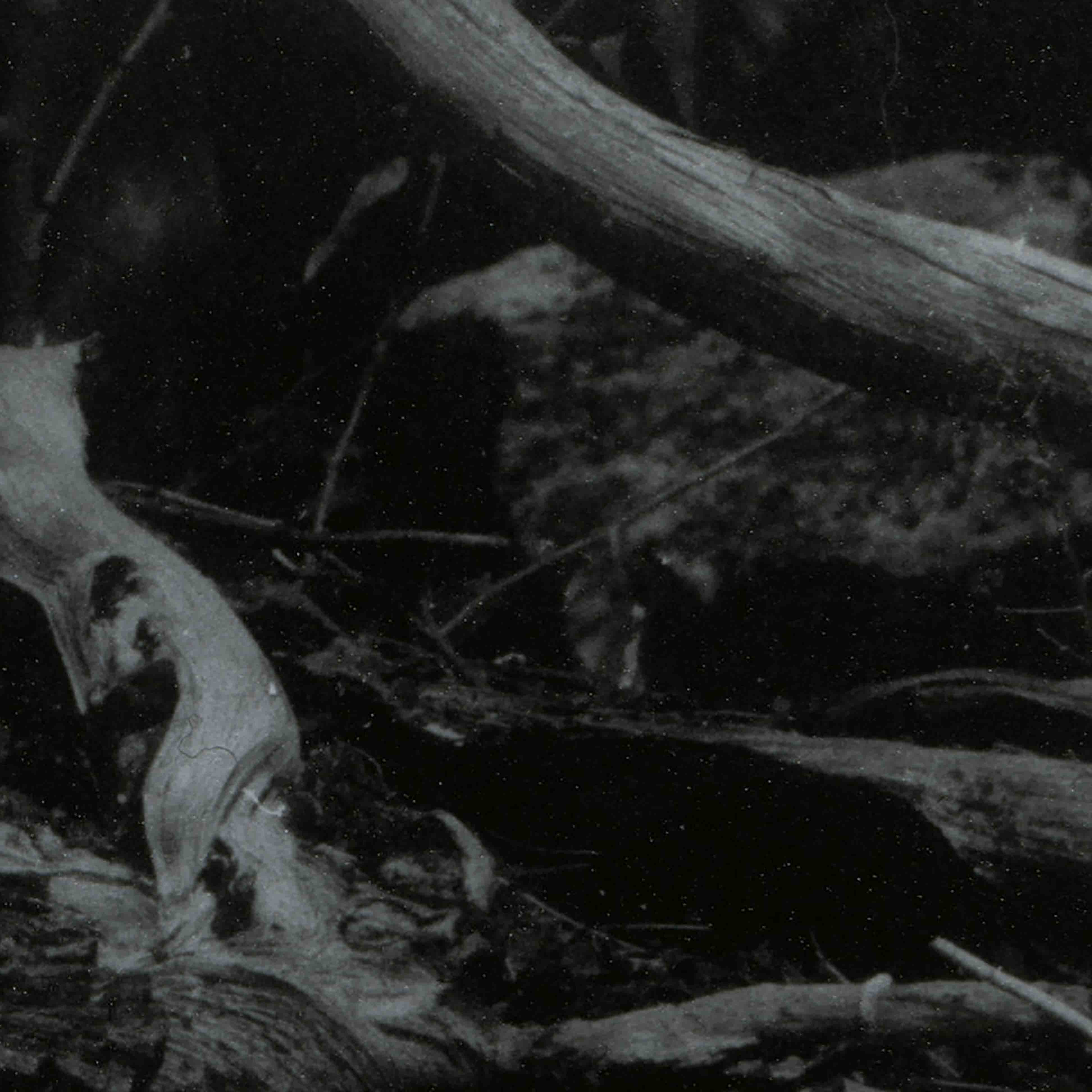 Barren Canyon - World Of Wounds (CD)