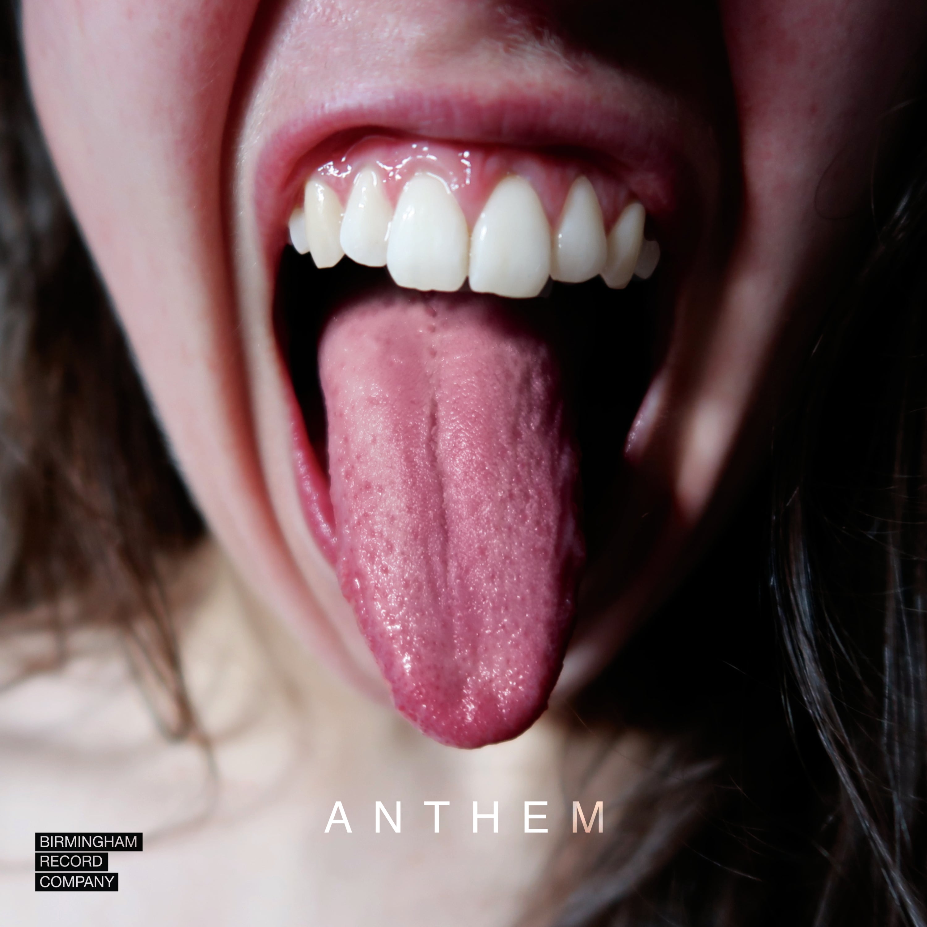 City of Birmingham Symphony Orchestra & Jamie Phillips & Apartment House - Anthem (CD)