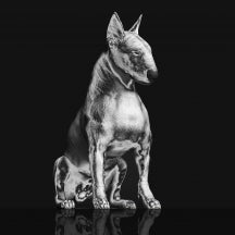 Riskee & The Ridicule - Platinum Statue (CD)