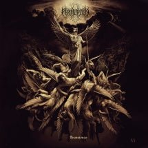 Permutation - Transience (CD)