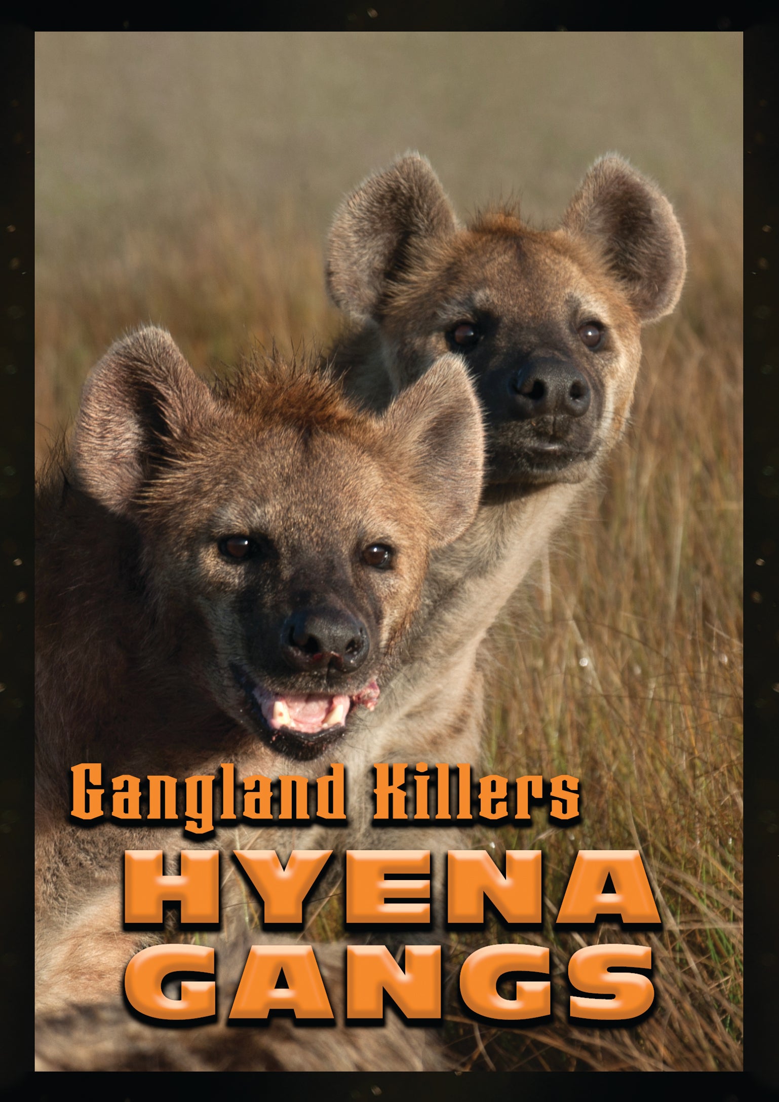 Gangland Killers: Hyena Gangs (DVD)