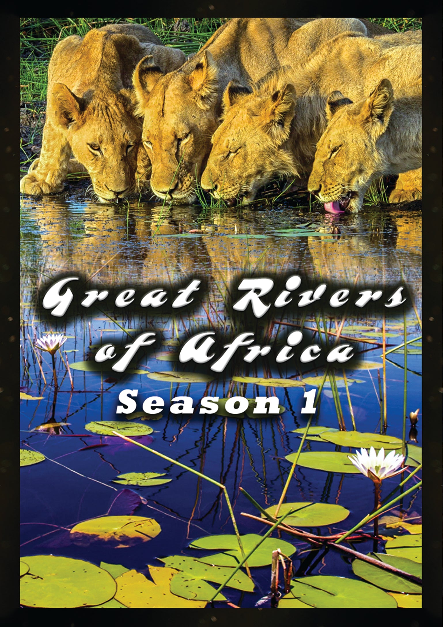 Great Rivers Of Africa (DVD)
