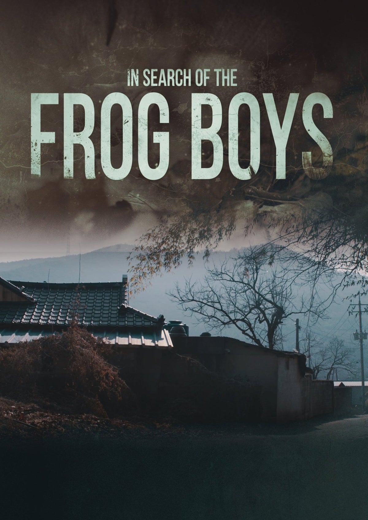In Search Of The Frog Boys (DVD)