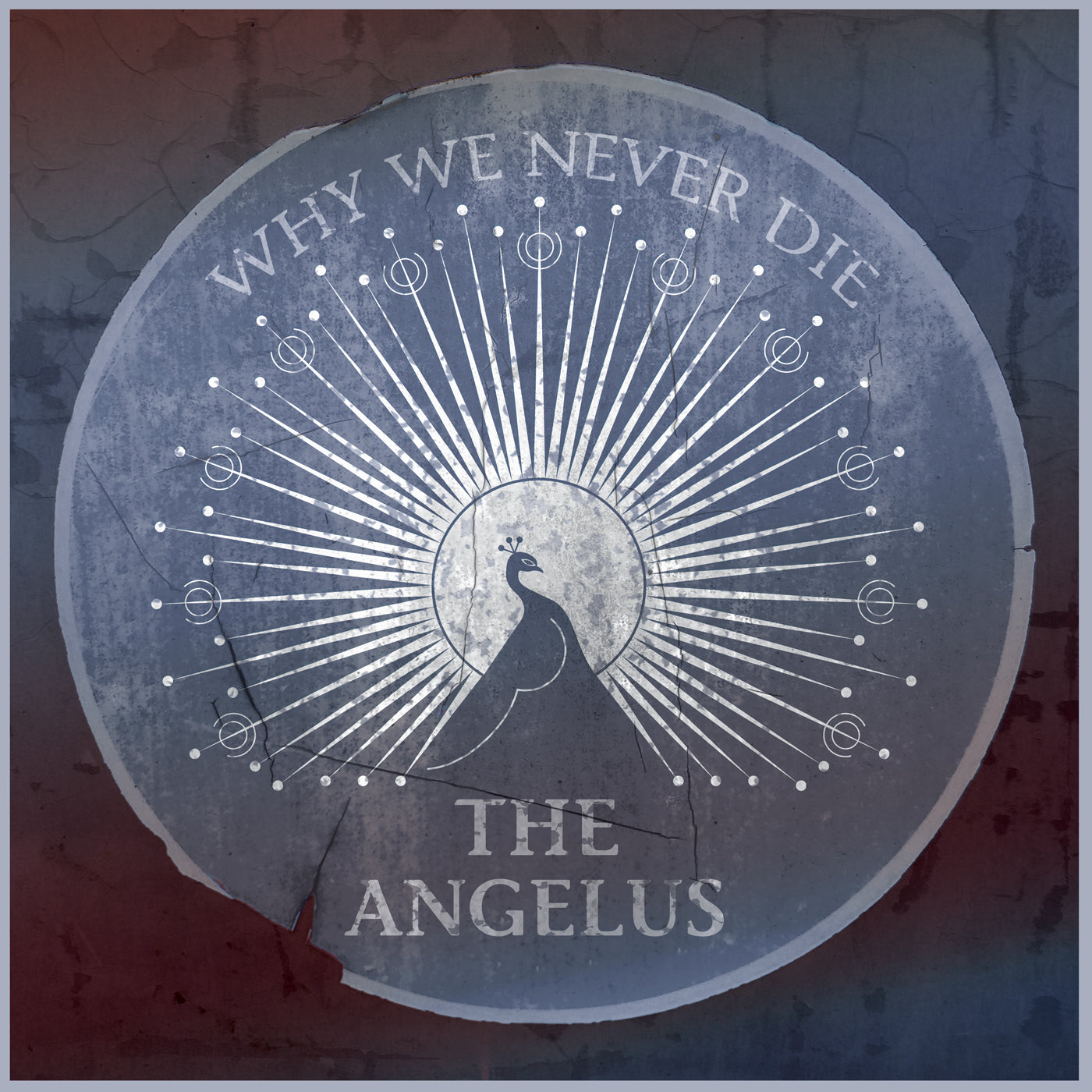 The Angelus - Why We Never Die (CD)